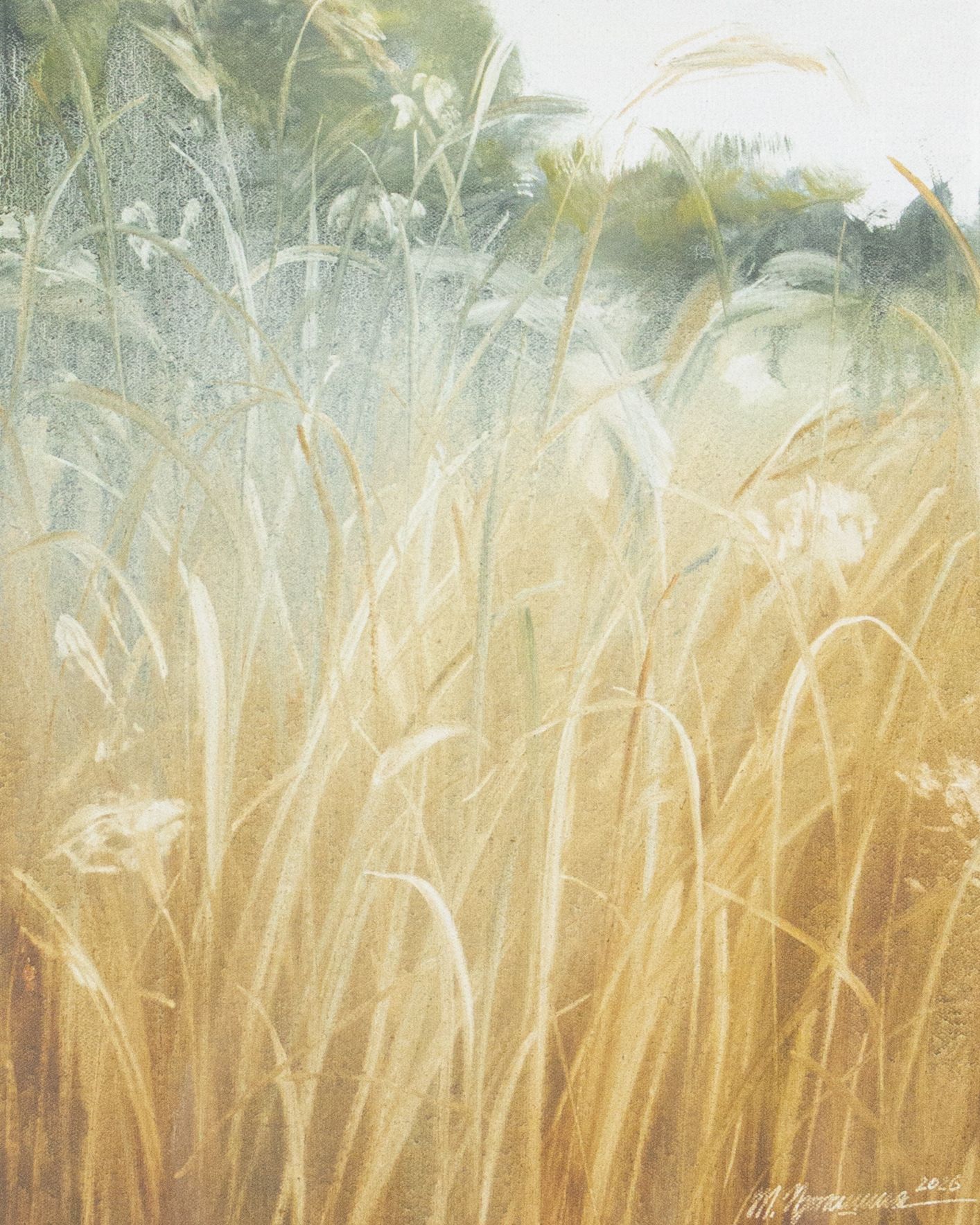 Татьяна Прокшина (Картина, живопись - 
                  40 x 50 см) Травы 260330