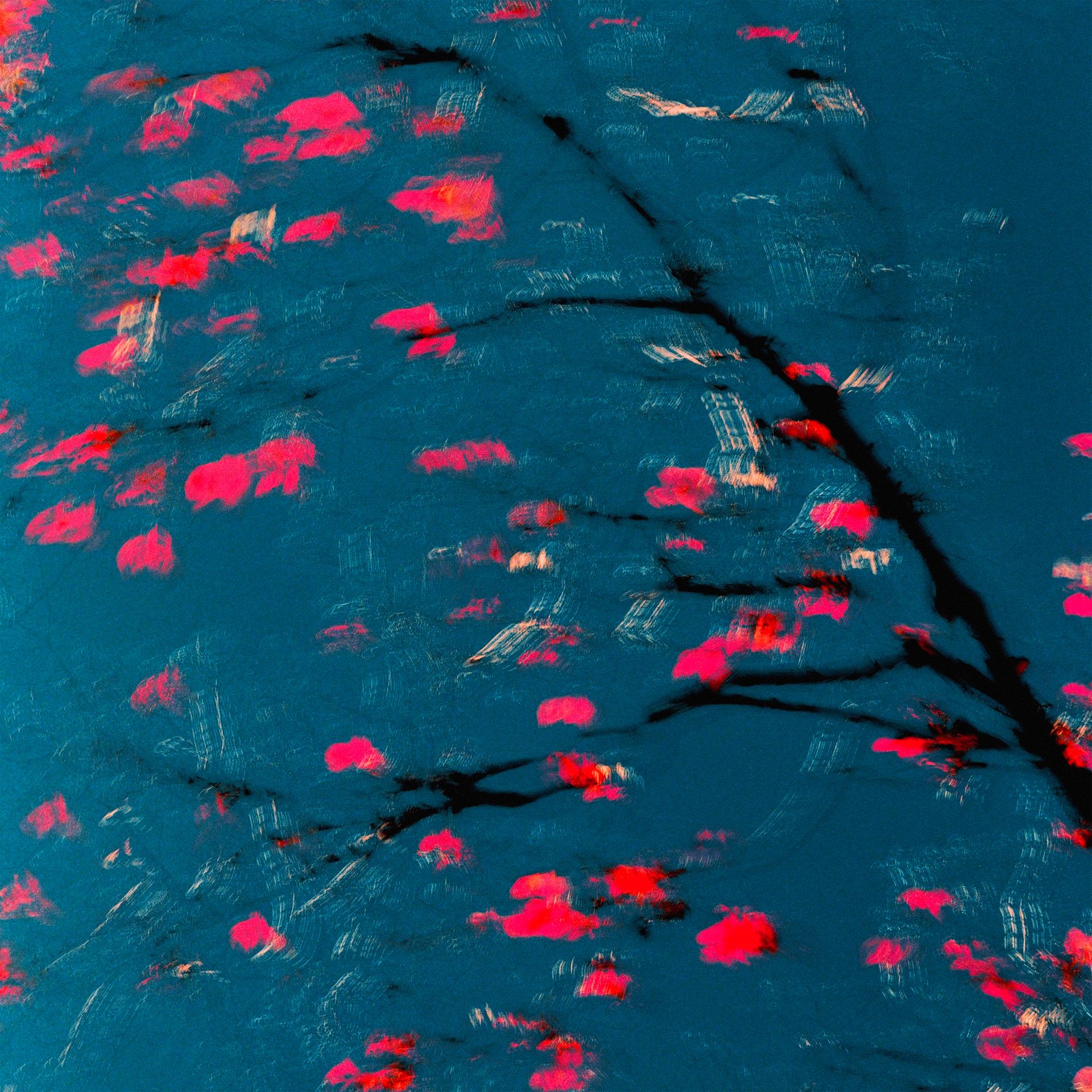 Ольга Ширяева (Фотография - 
                  50 x 50 см) Переход №2