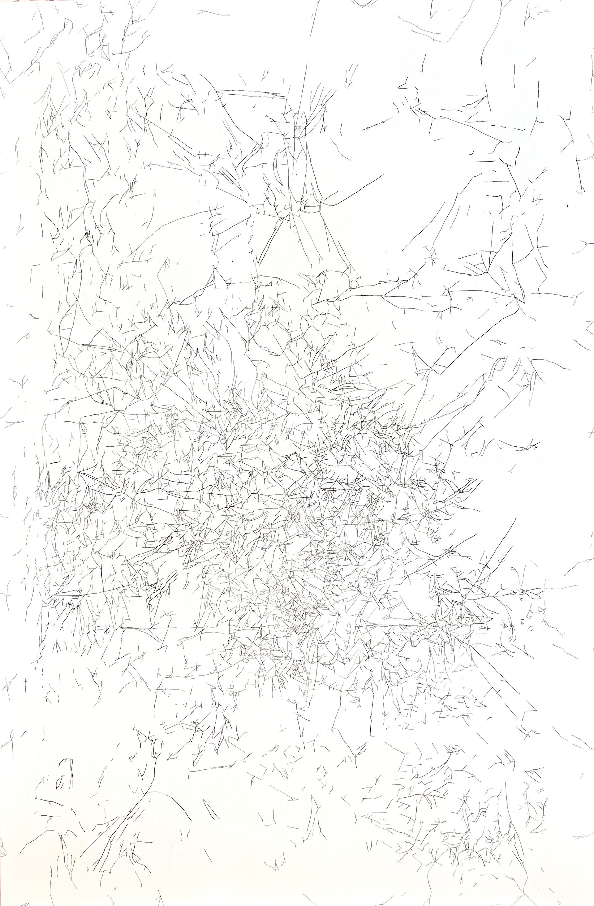 Лидия Жудро (Картина, живопись - 
                  100 x 150 см) Из серии "Актанты"