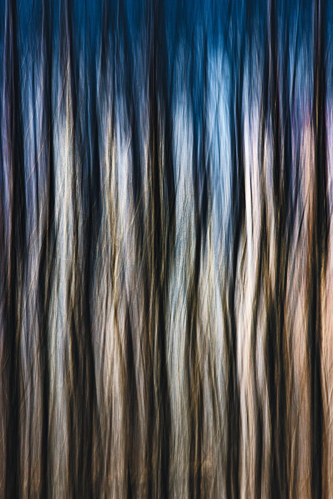 Инна Леонова (Фотография - 
                  40 x 60 см) Абстракция #21