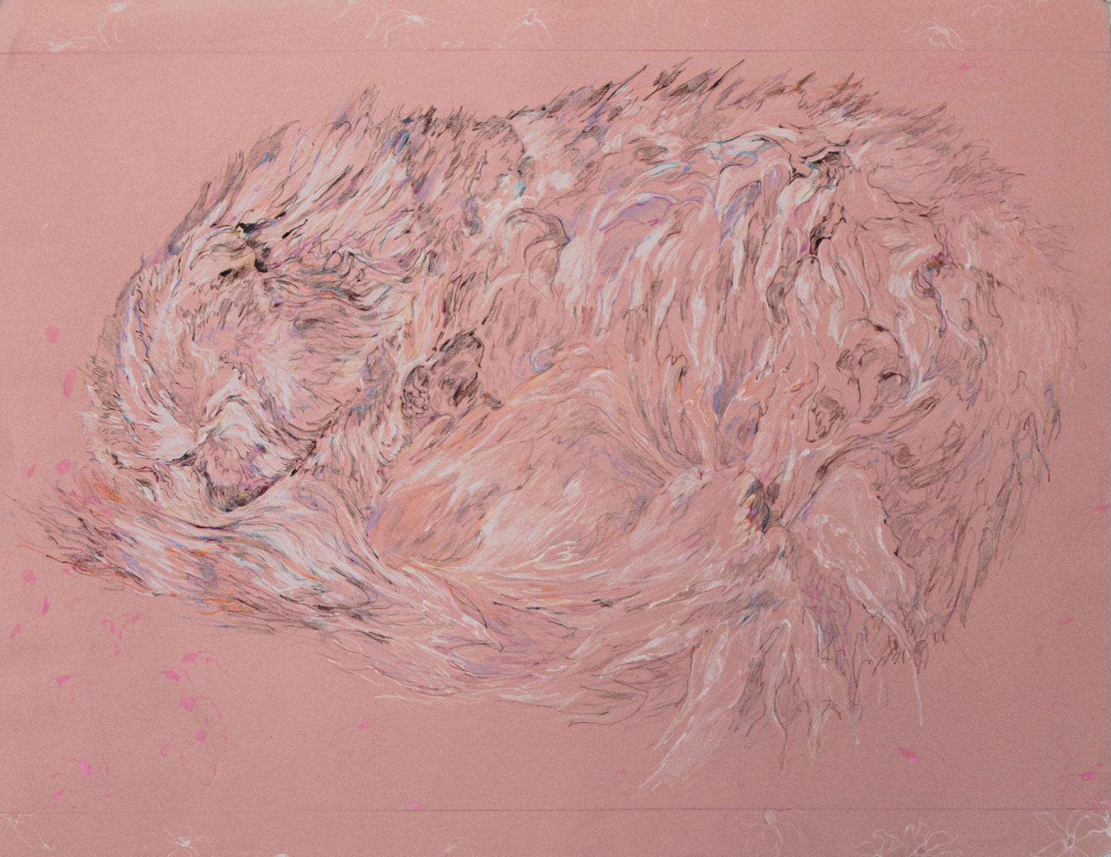 Саша Медведева (Авторская графика - 
                  65 x 50 см) Кот, живущий в горах Кавказа, которого нам довелось встретить на каникулах