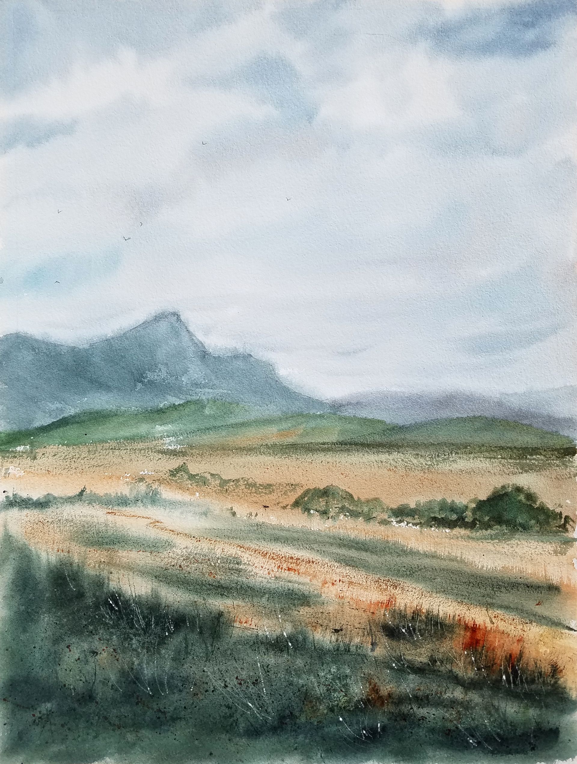 Светлана Юматова (Авторская графика - 
                  31 x 41 см) Крым, степь