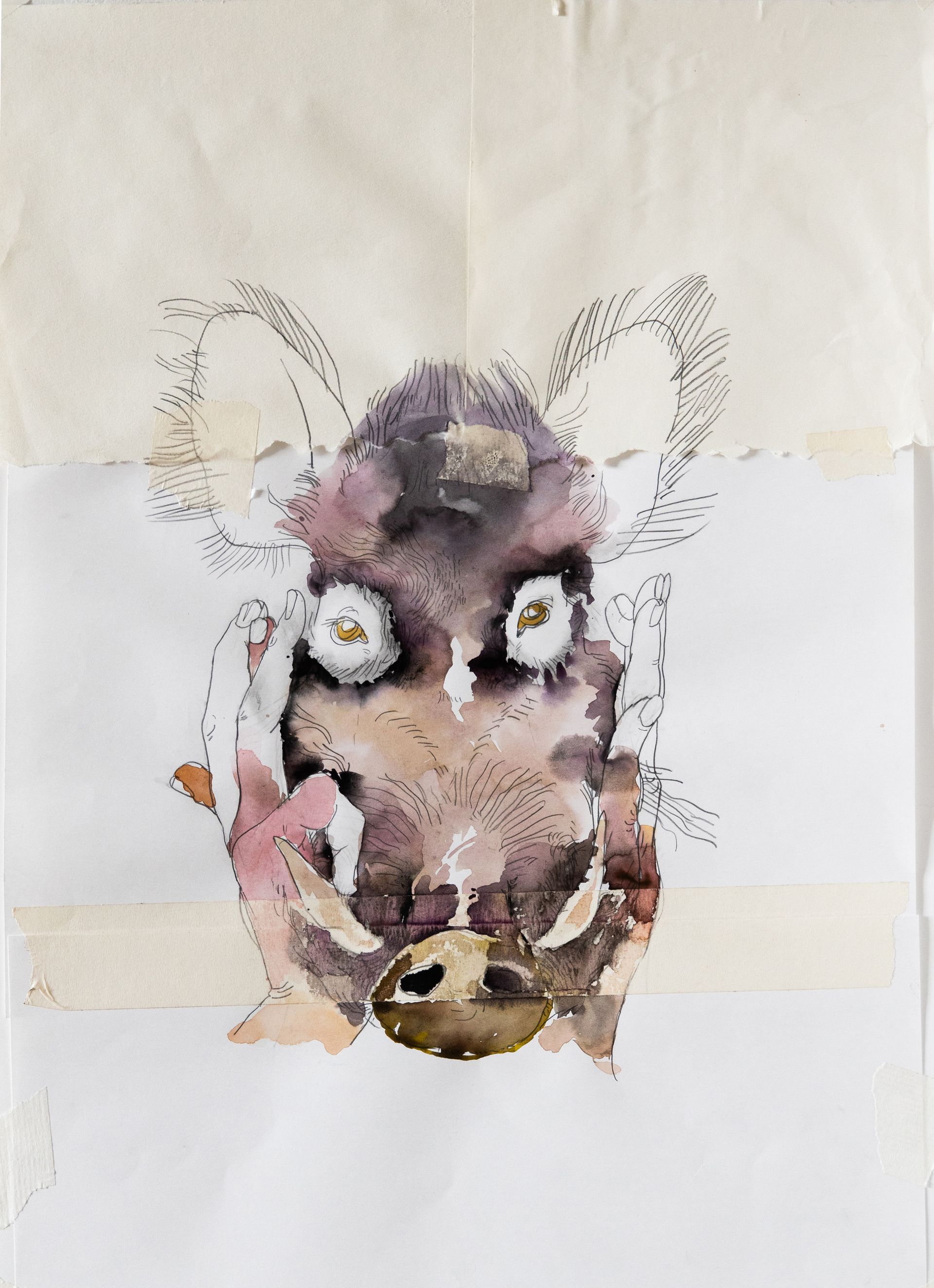 Василиса Палянина (Авторская графика - 
                  44 x 60 см) Boar