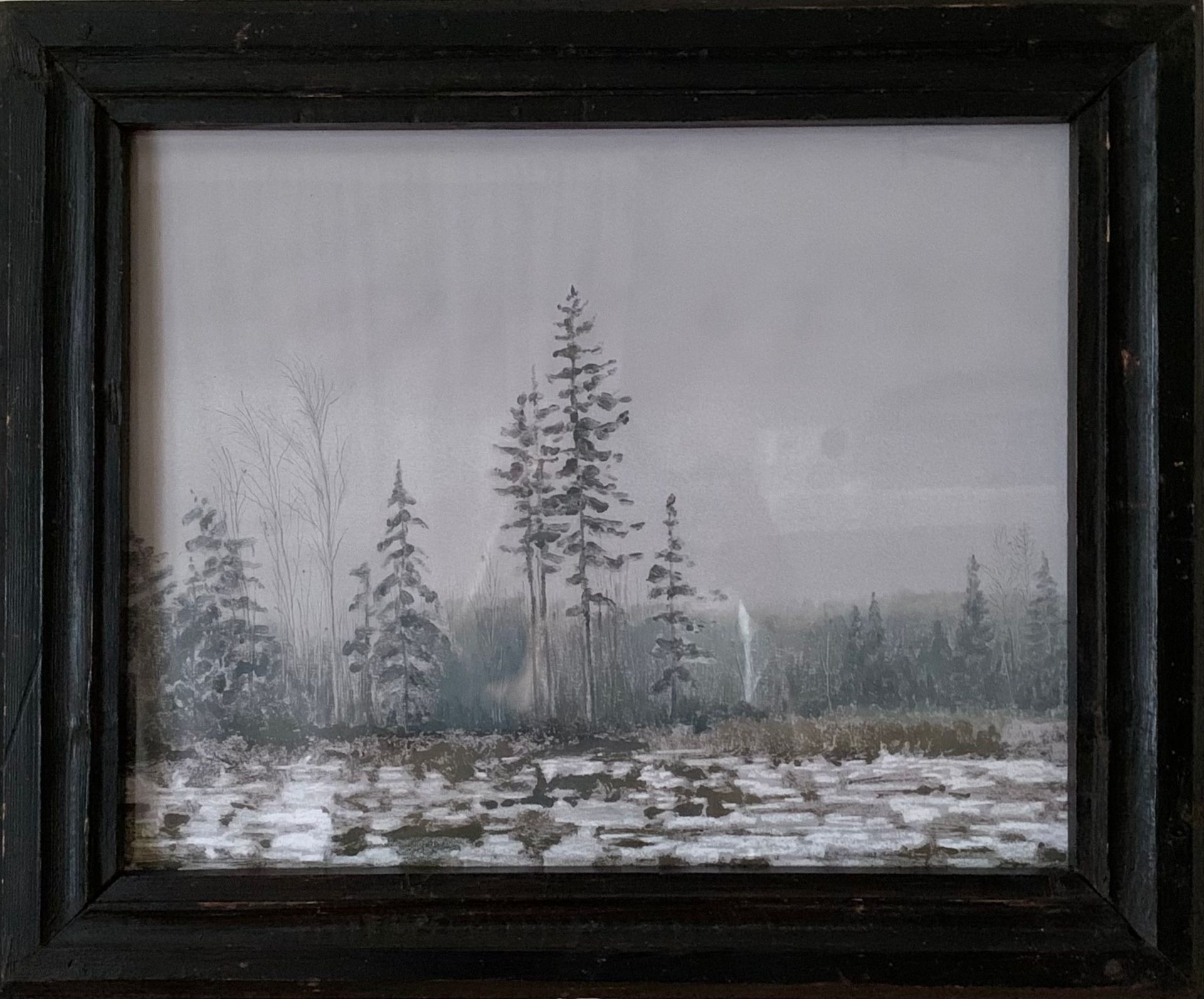 Мария Стадник (Графика печатная - 
                  47.5 x 39.5 см) Сосны