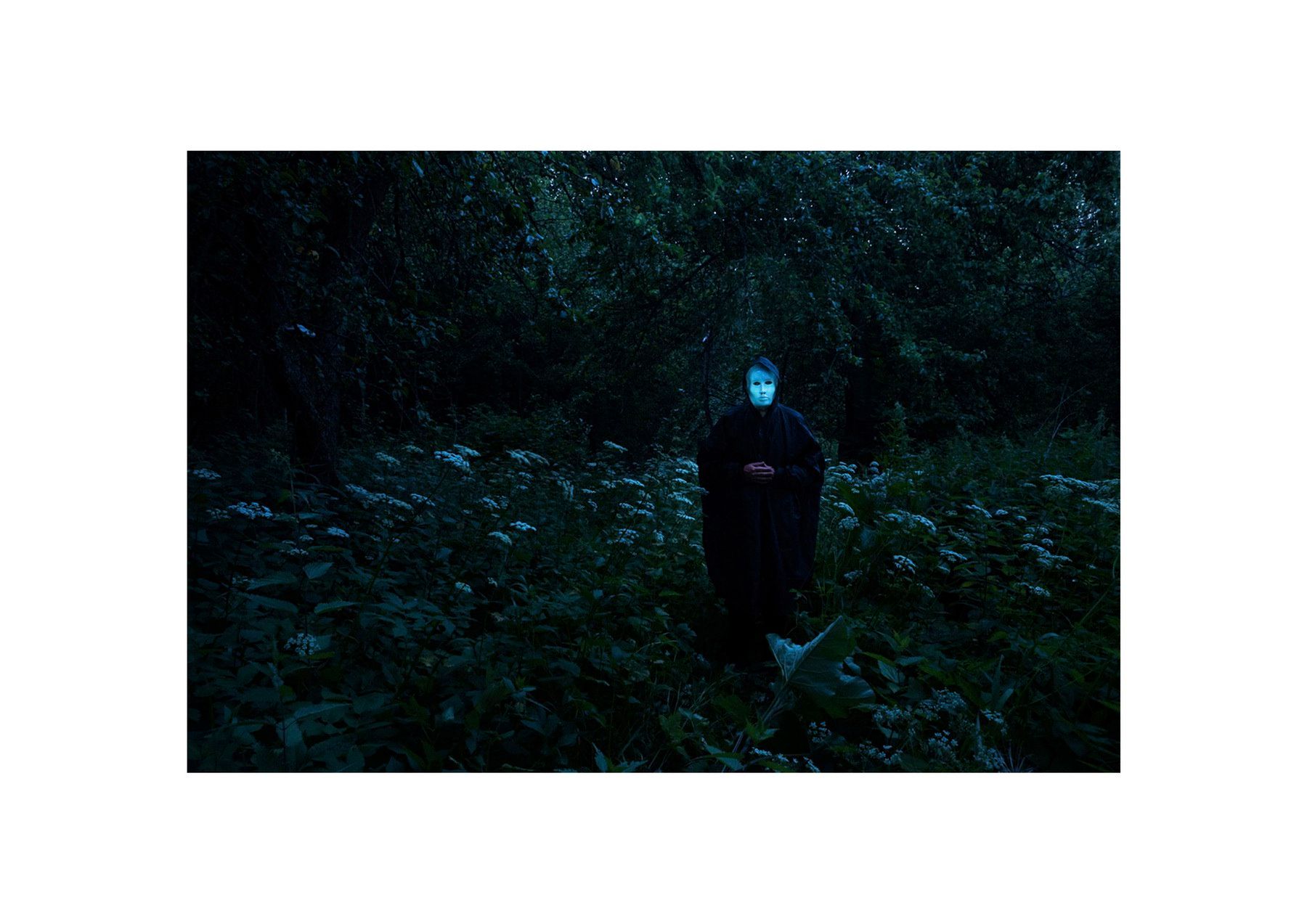 Евгений Молодцов (Фотография - 
                  undefined x undefined см) Евгений Молодцов. Вепсский лес VII