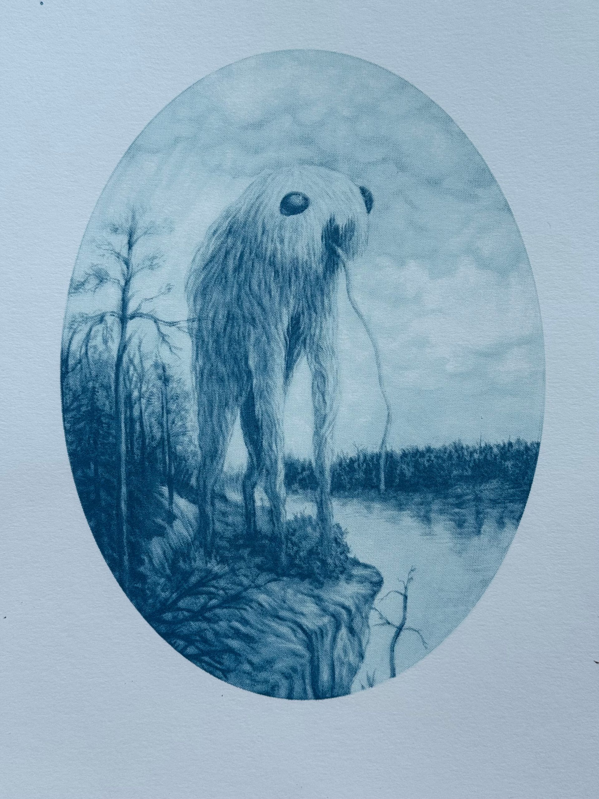 Полина Шелест (Графика печатная - 
                  21 x 30 см) Анима