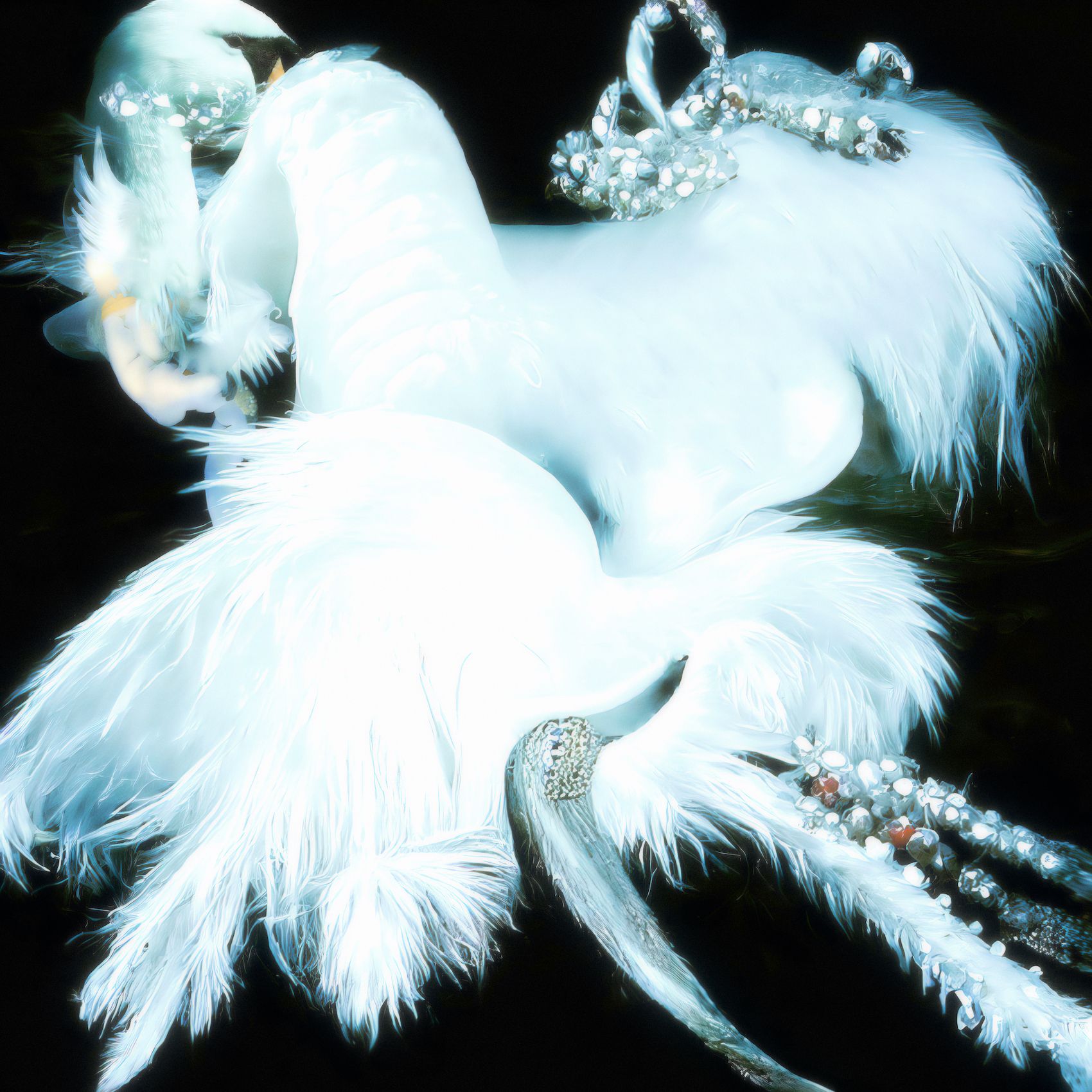 Даниил Макаров (Фотография - 
                  30 x 30 см) Swan