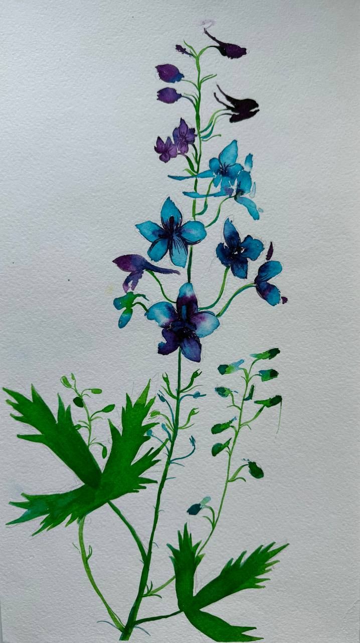 Алена Сокольникова (Авторская графика - 
                  19.5 x 35.5 см) Полевые цветы. Абхазия