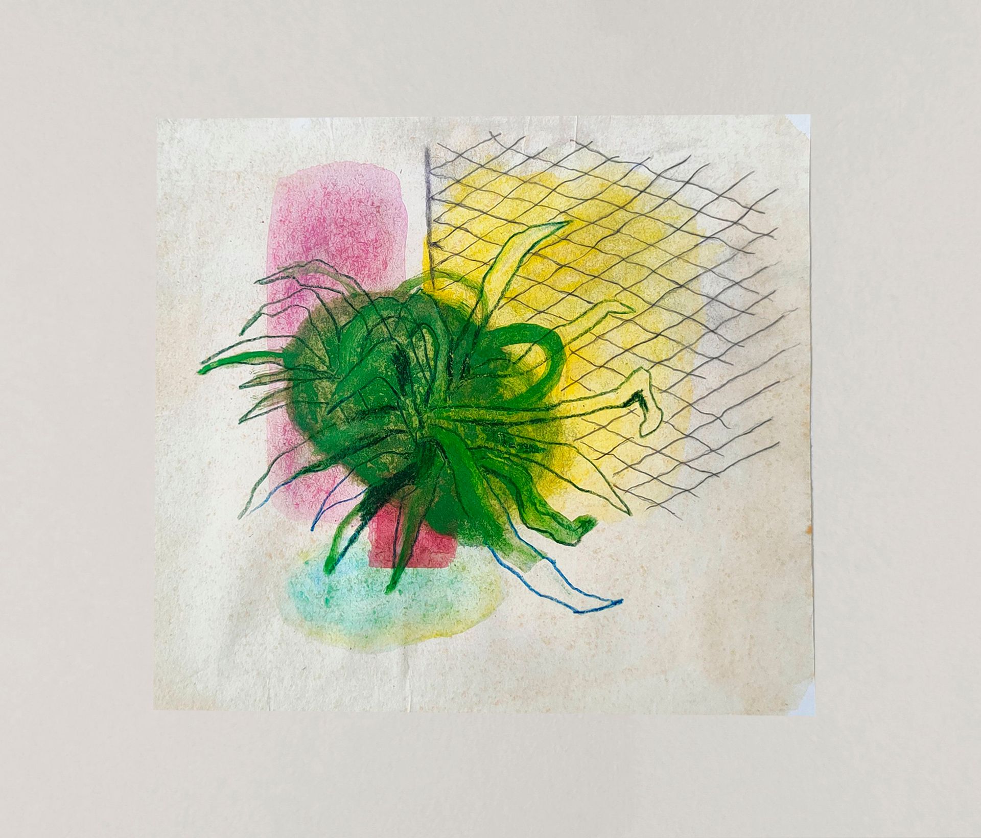 Варвара Голланд (Авторская графика - 
                  33 x 31 см) Алоэ