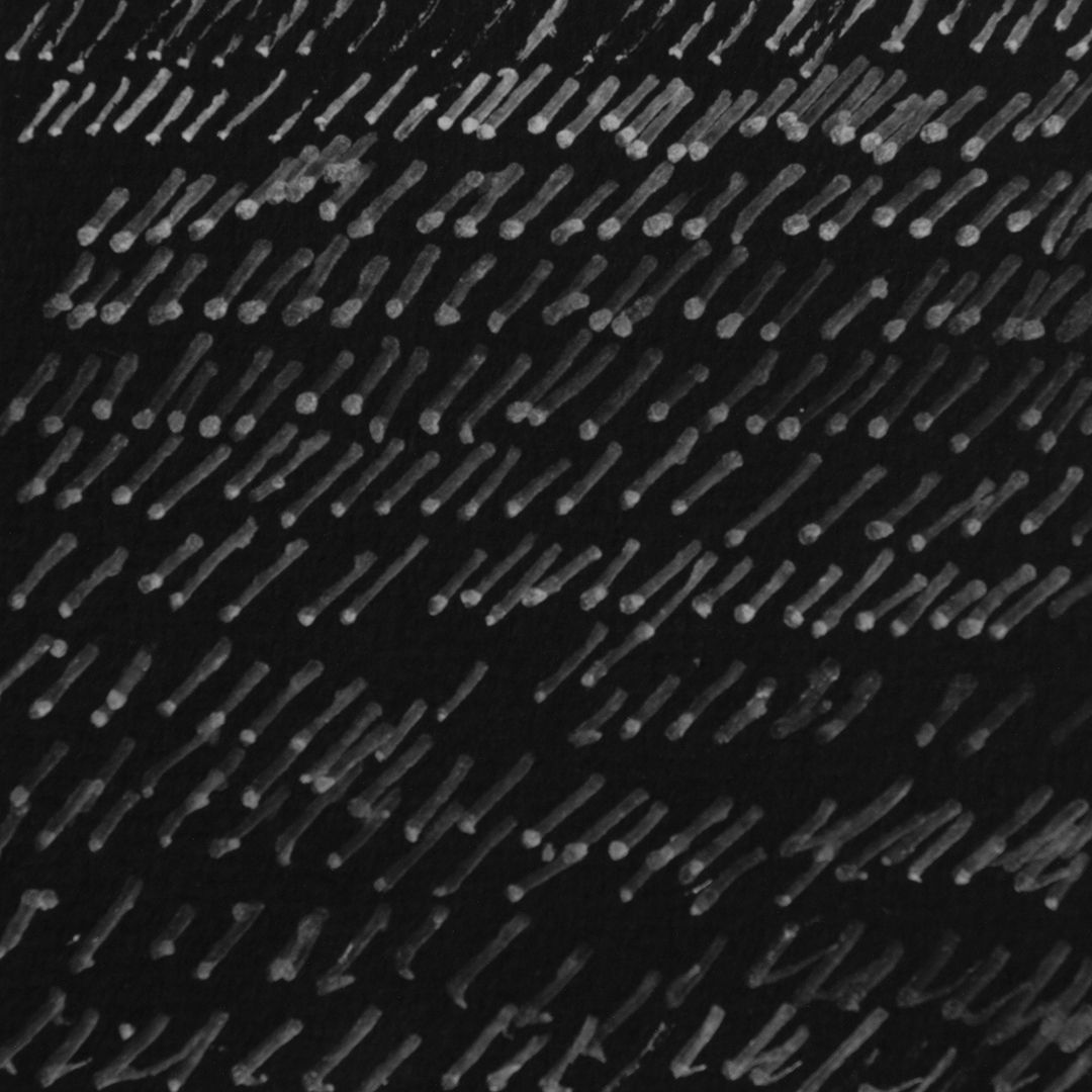 Диалет Шагой (Авторская графика - 
                  7 x 7 см) Без названия