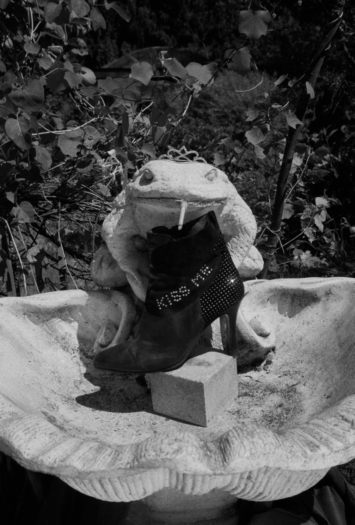 Жанна Татарова (Фотография - 
                  50 x 75 см) Жанна Татарова На память IX. 50х75