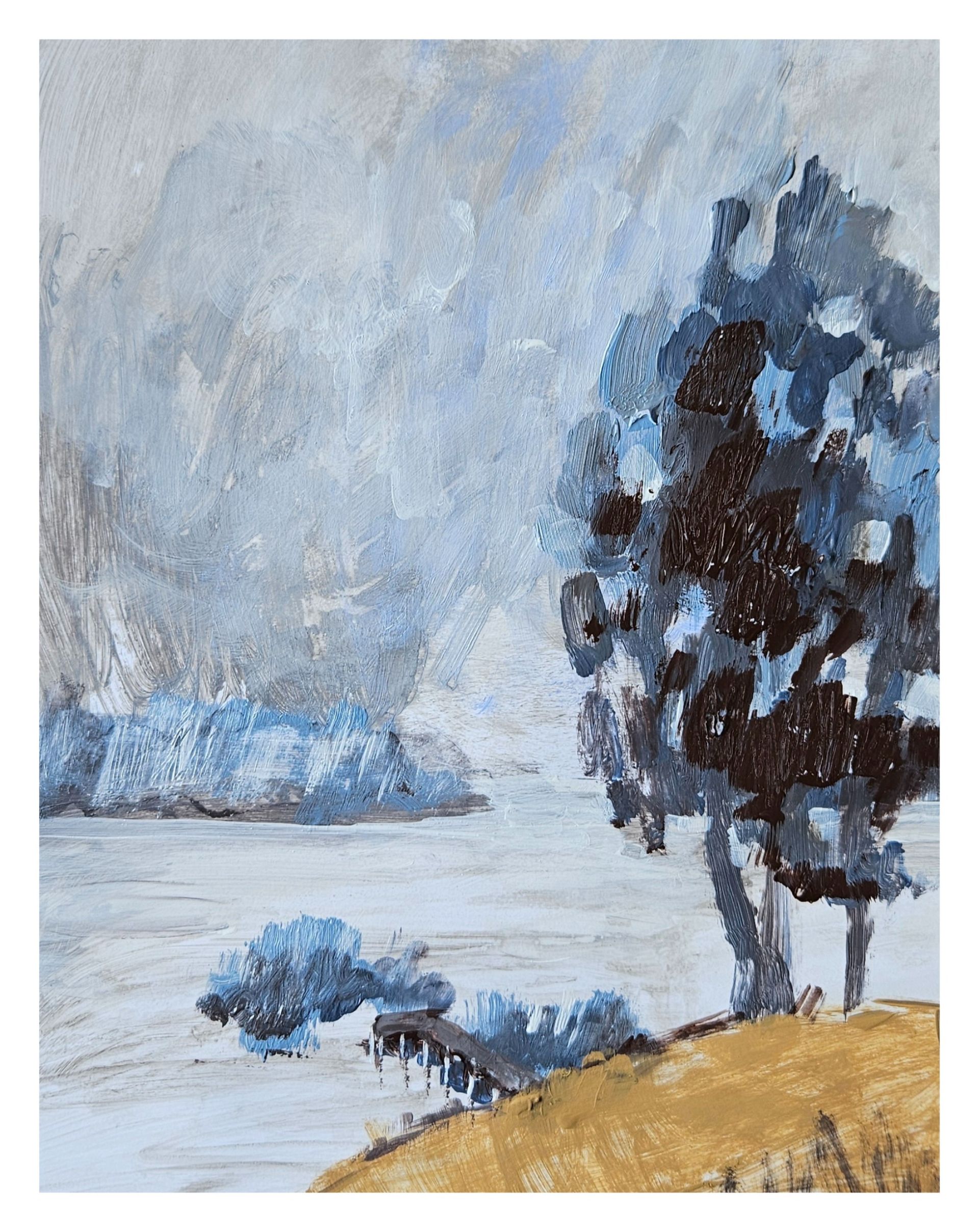 Ирина Ильина (Авторская графика - 
                  24 x 30 см) Мстинское вдхр.