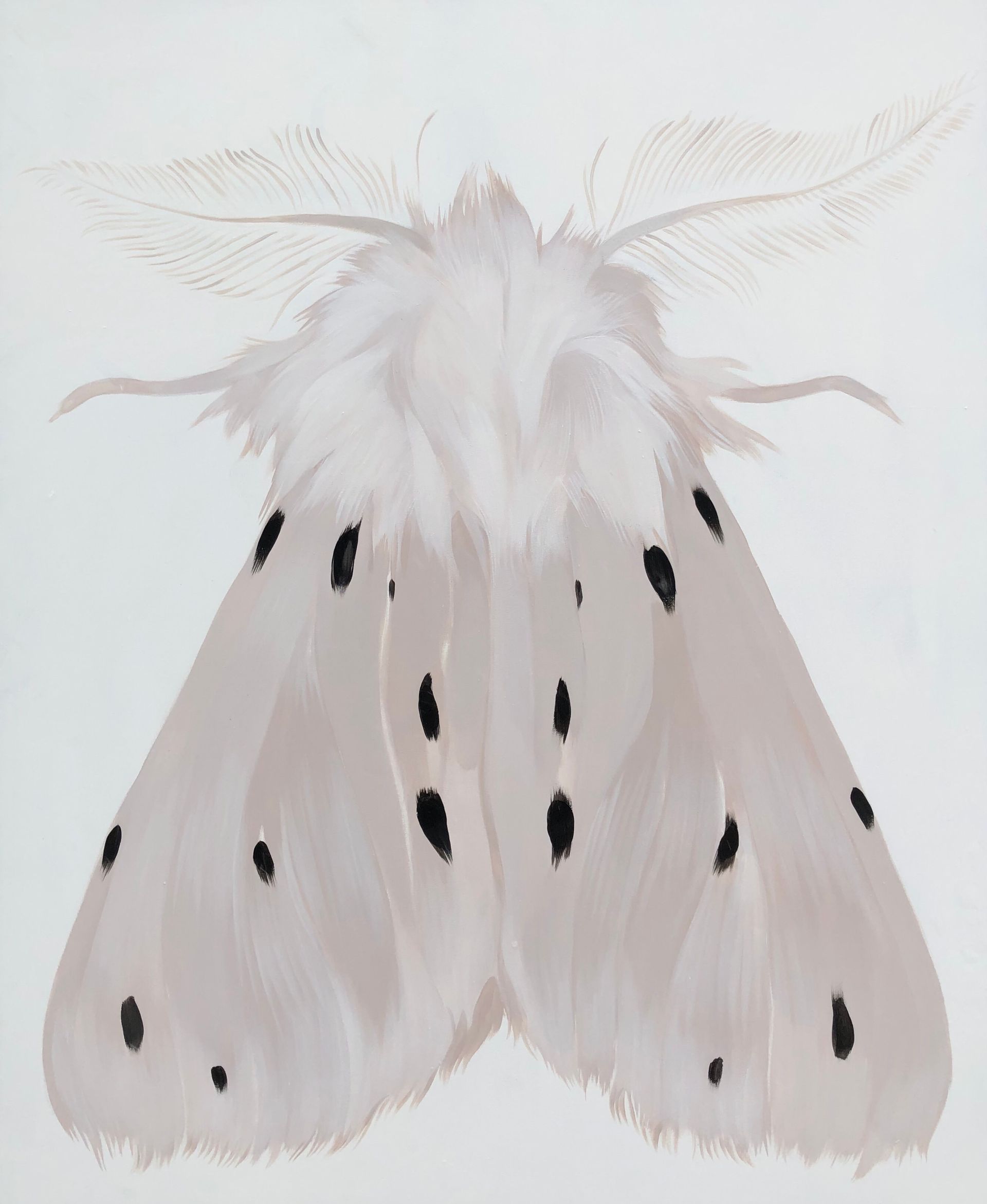 Маша Лам (Картина, живопись - 
                  80 x 100 см) Муслиновый мотылек