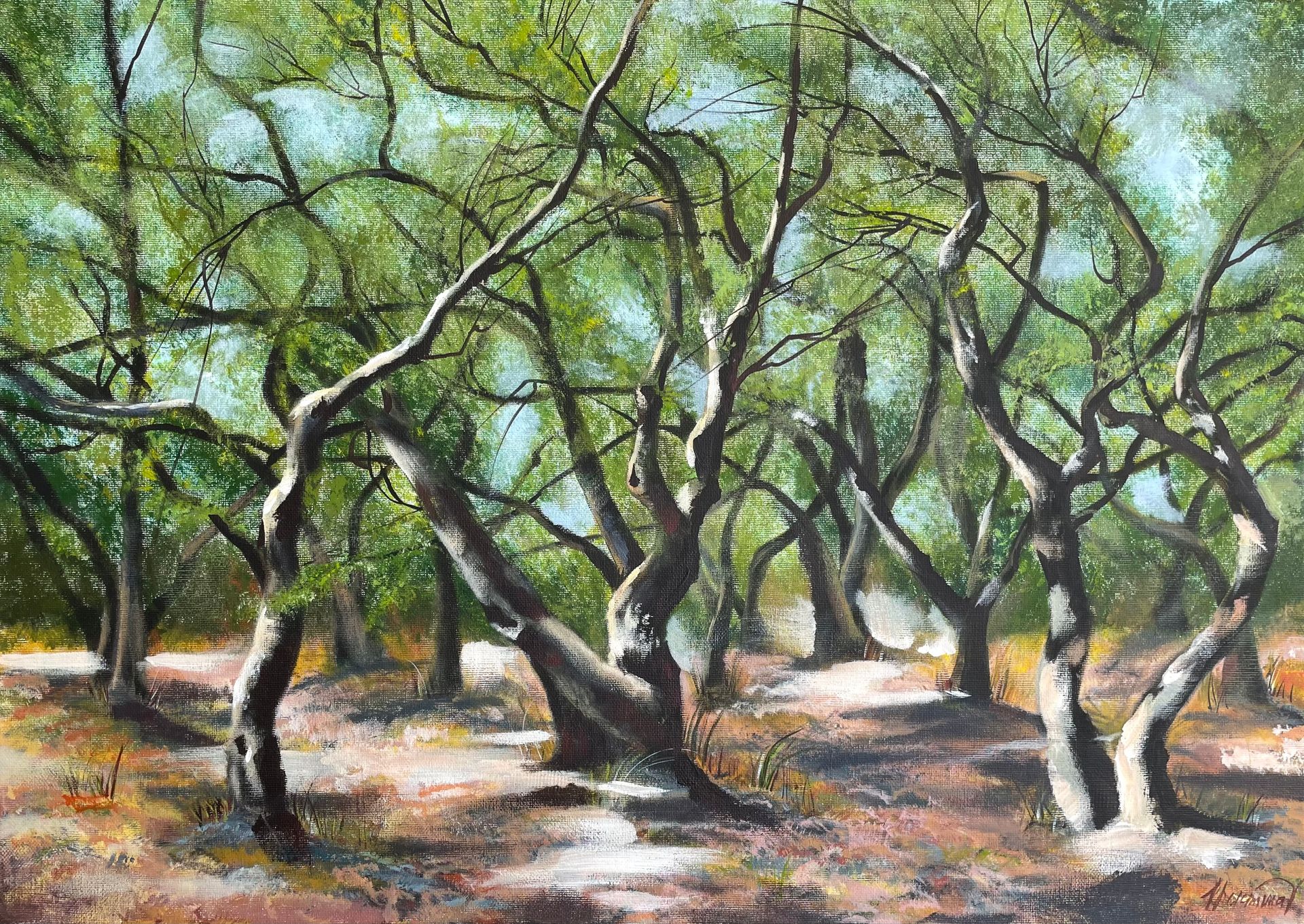 Kristina Ptiza (Картина, живопись - 
                  70 x 50 см) Оливы