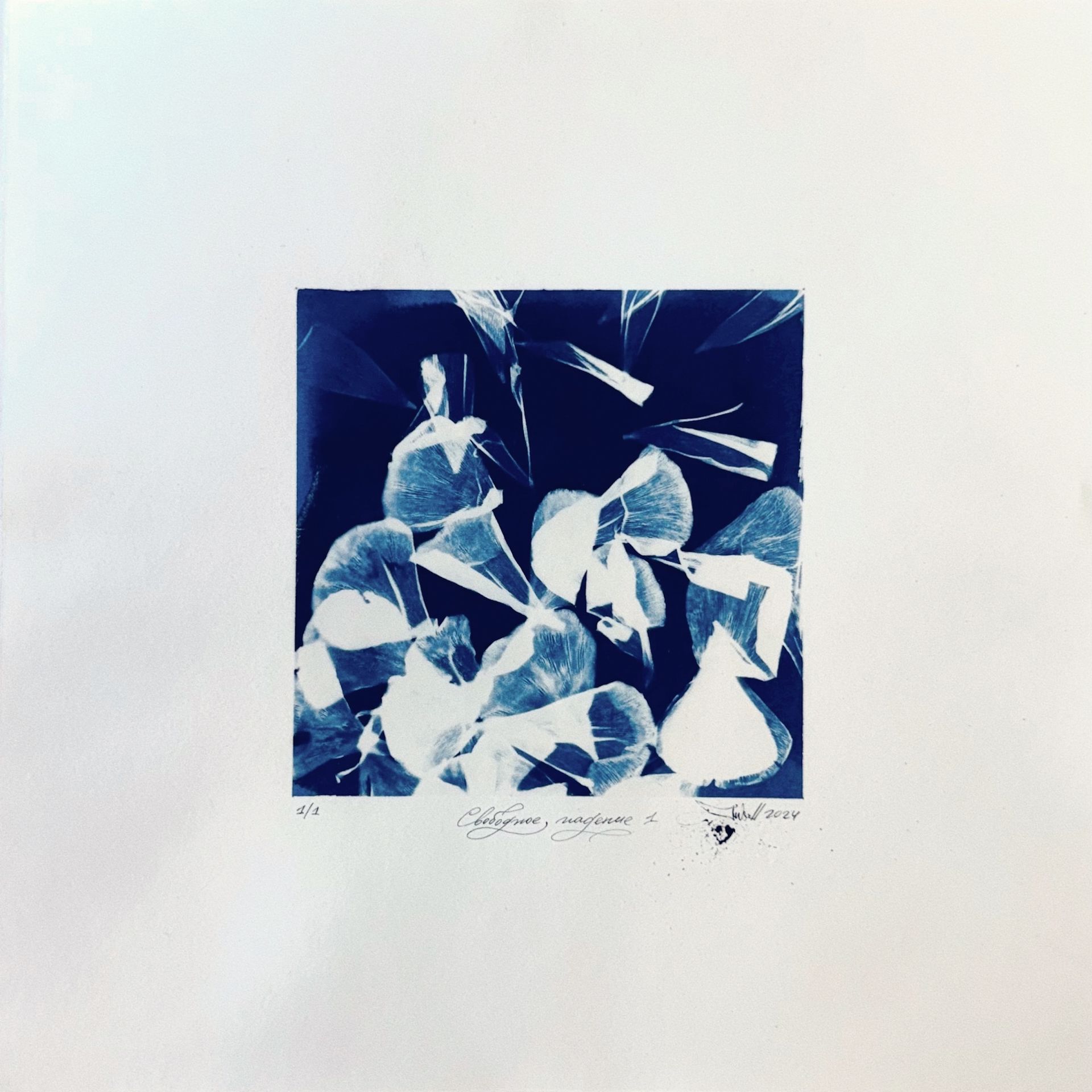 Юлия Милякова (Графика печатная - 
                  30 x 30 см) Свободное падение 1. Серия "Цветы"