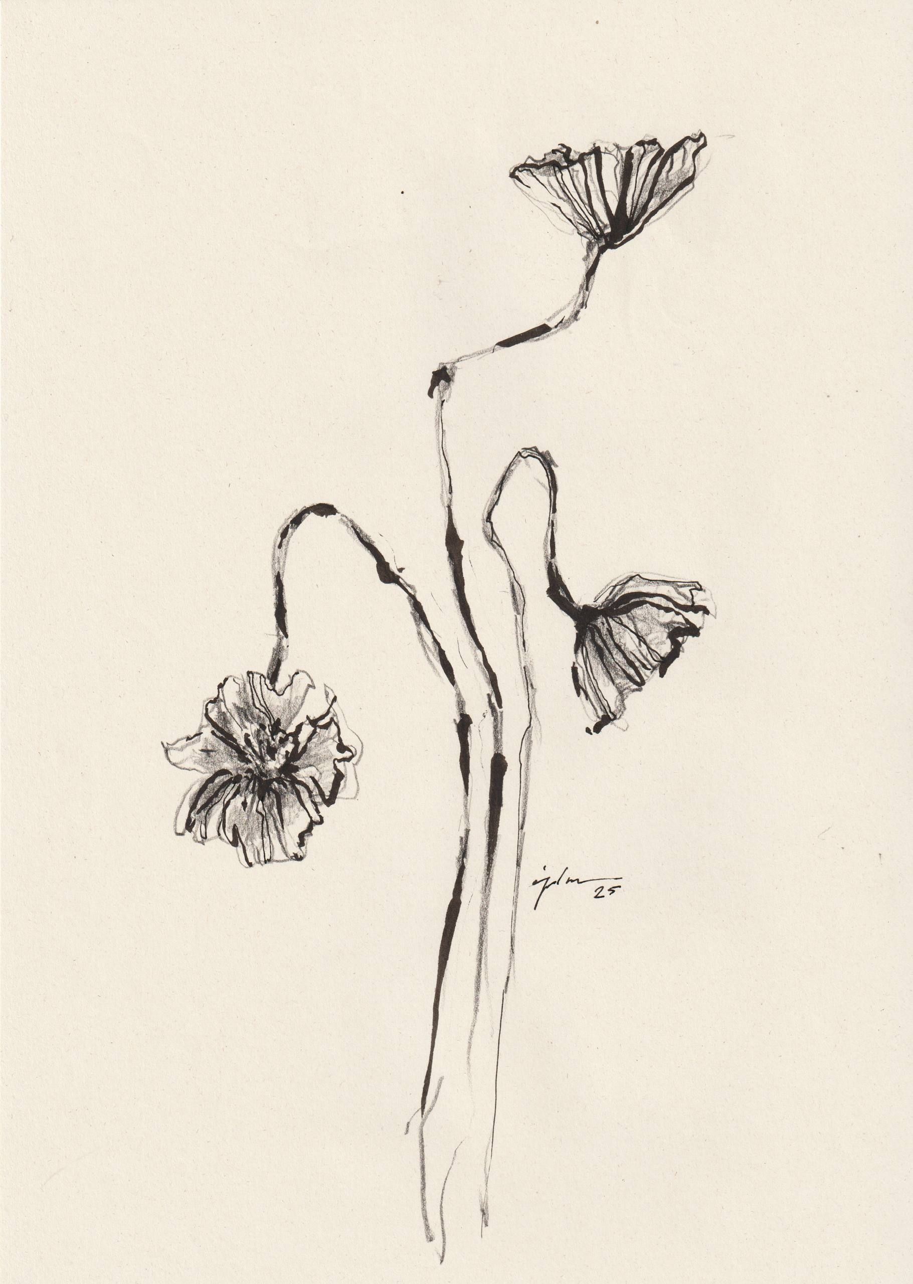 Виктория Зарецкая (embrassé par la muse) (Авторская графика - 
                  21 x 29.7 см) Fleur 08
