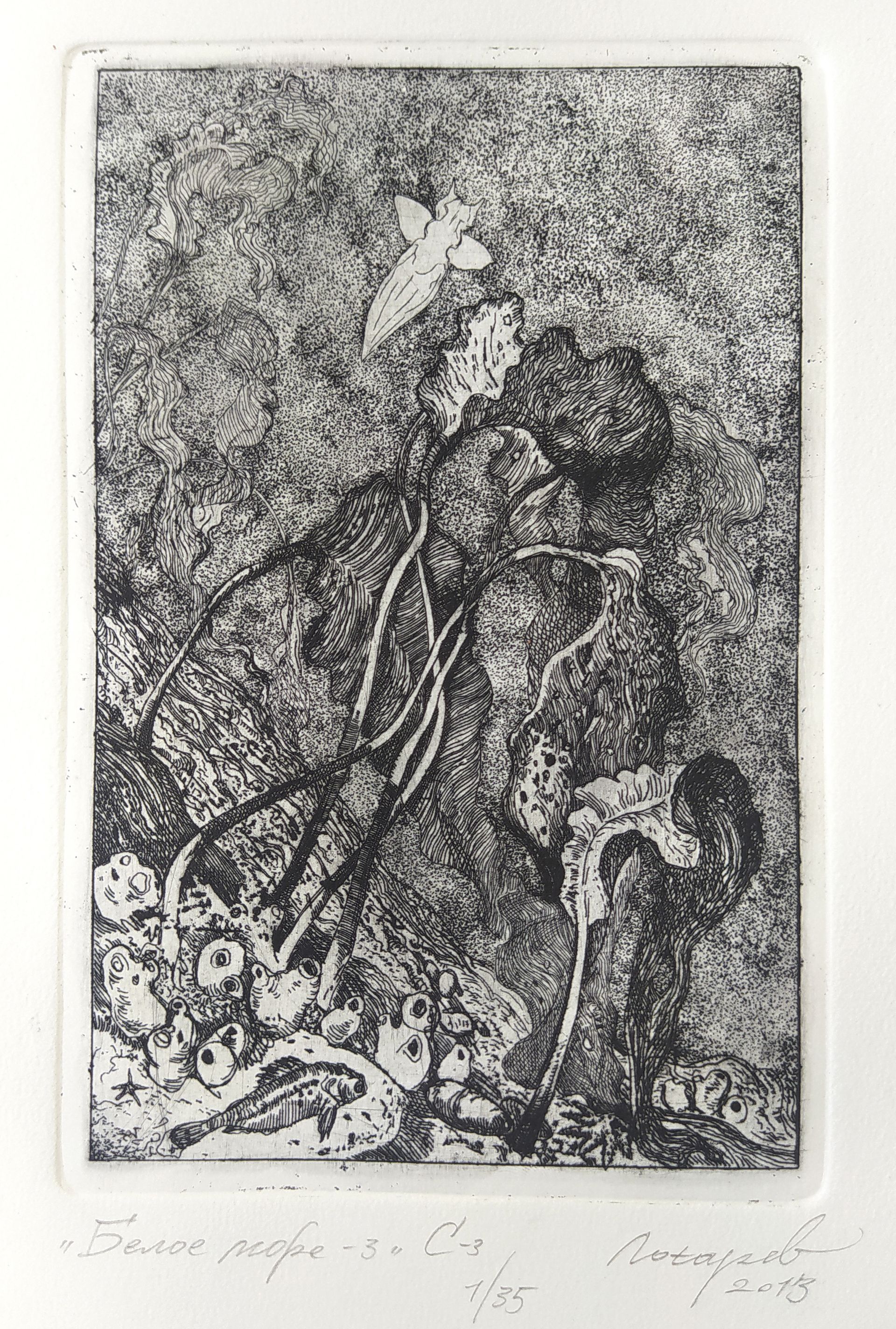 Денис Лотарев (Графика печатная - 
                  28 x 34 см) Белое море-3