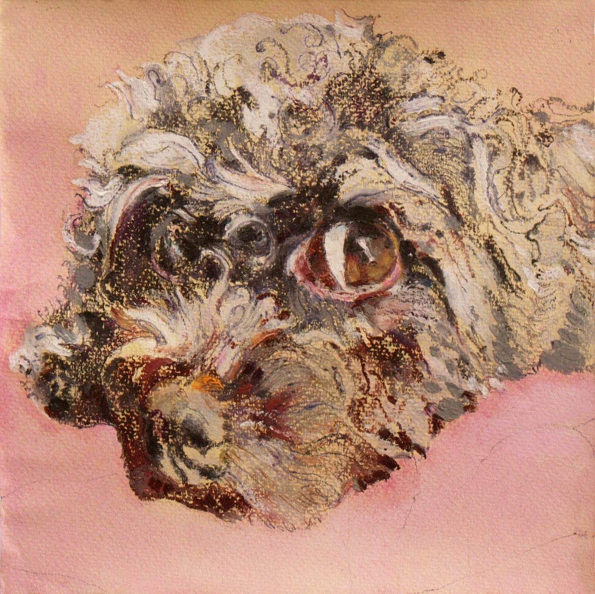Саша Медведева (Авторская графика - 
                  21 x 21 см) Женя