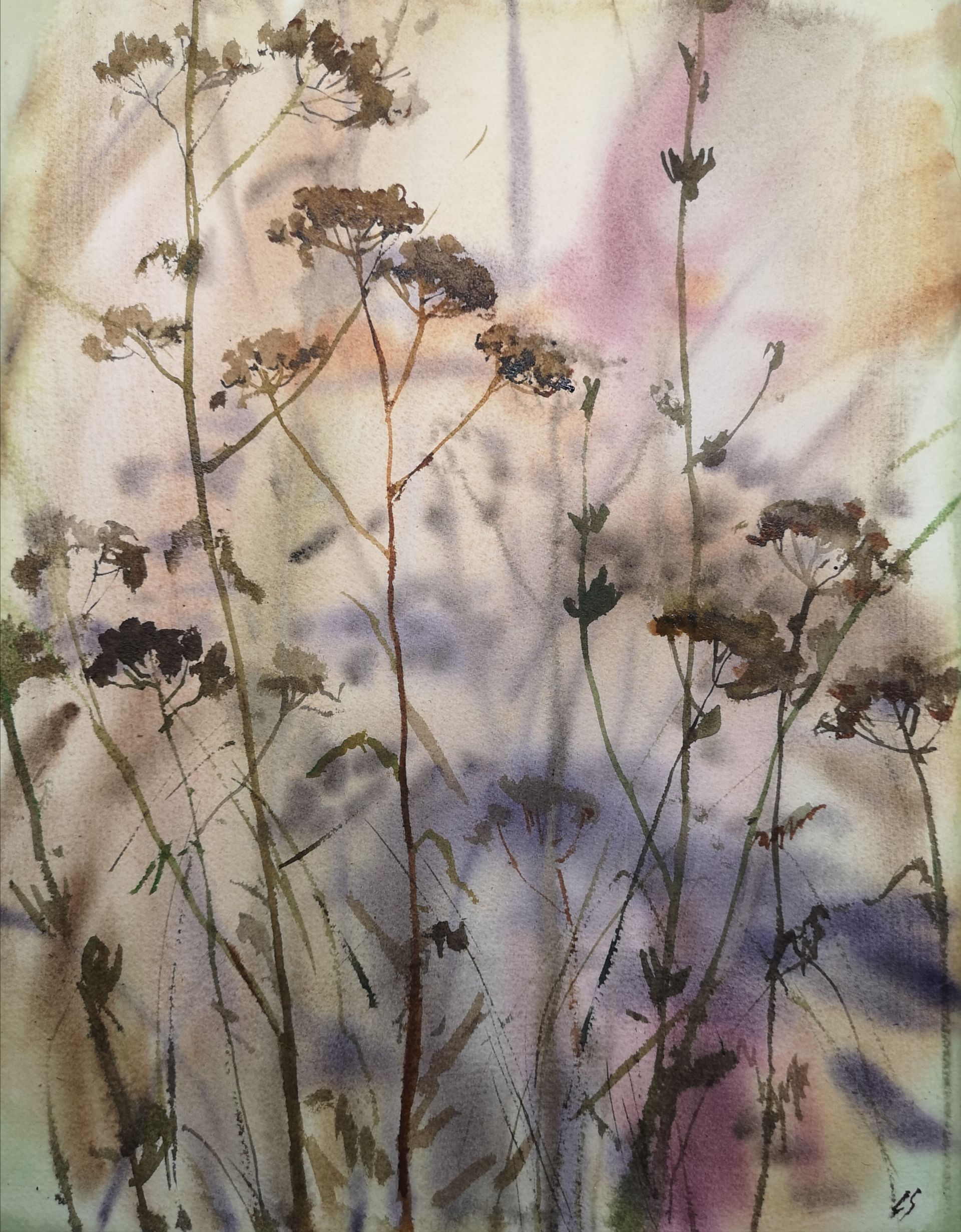 Елена Санина (Авторская графика - 
                  30 x 42 см) Туман. Травы