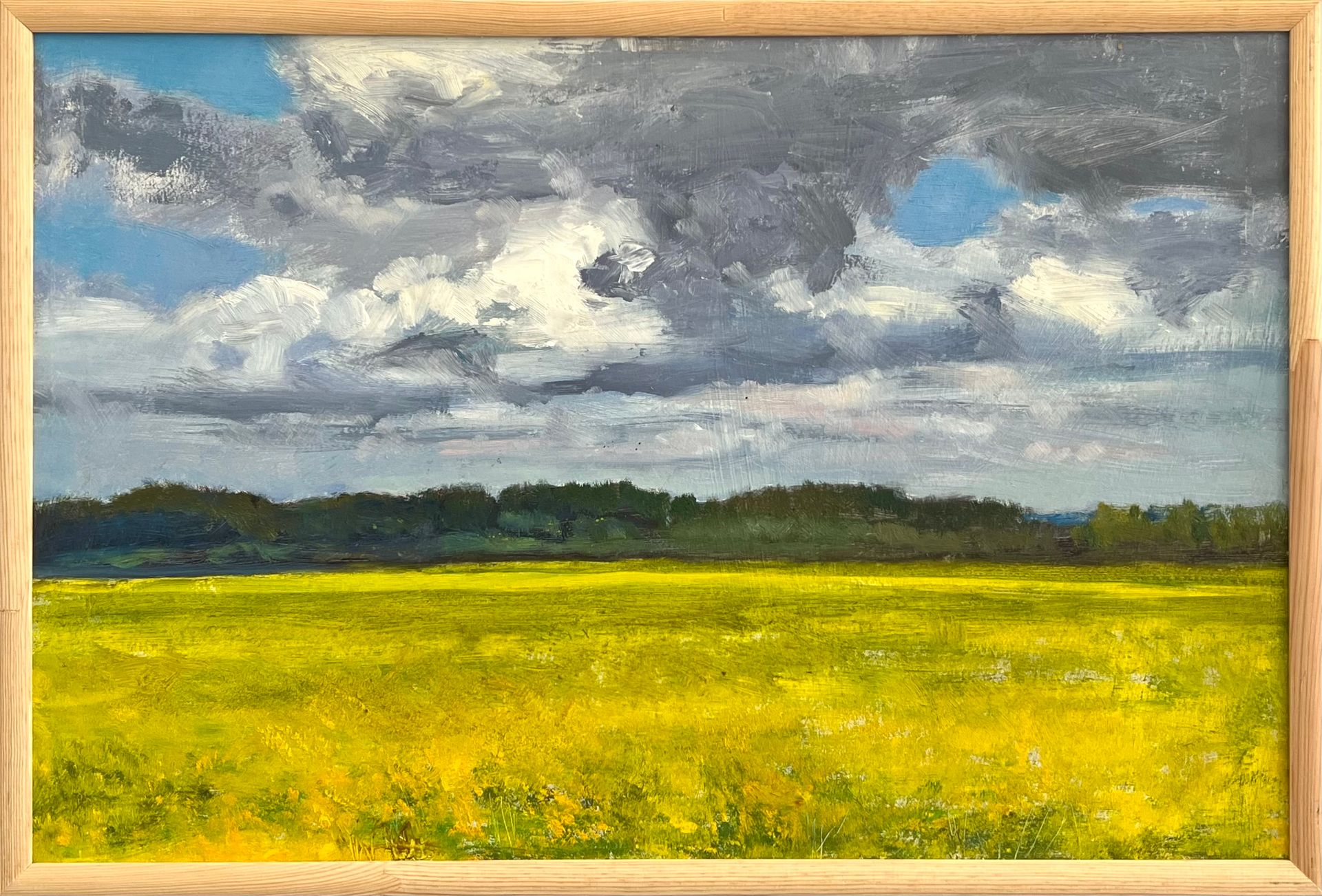 Алина Хоняк (Авторская графика - 
                  54 x 36 см) Рапс цветёт
