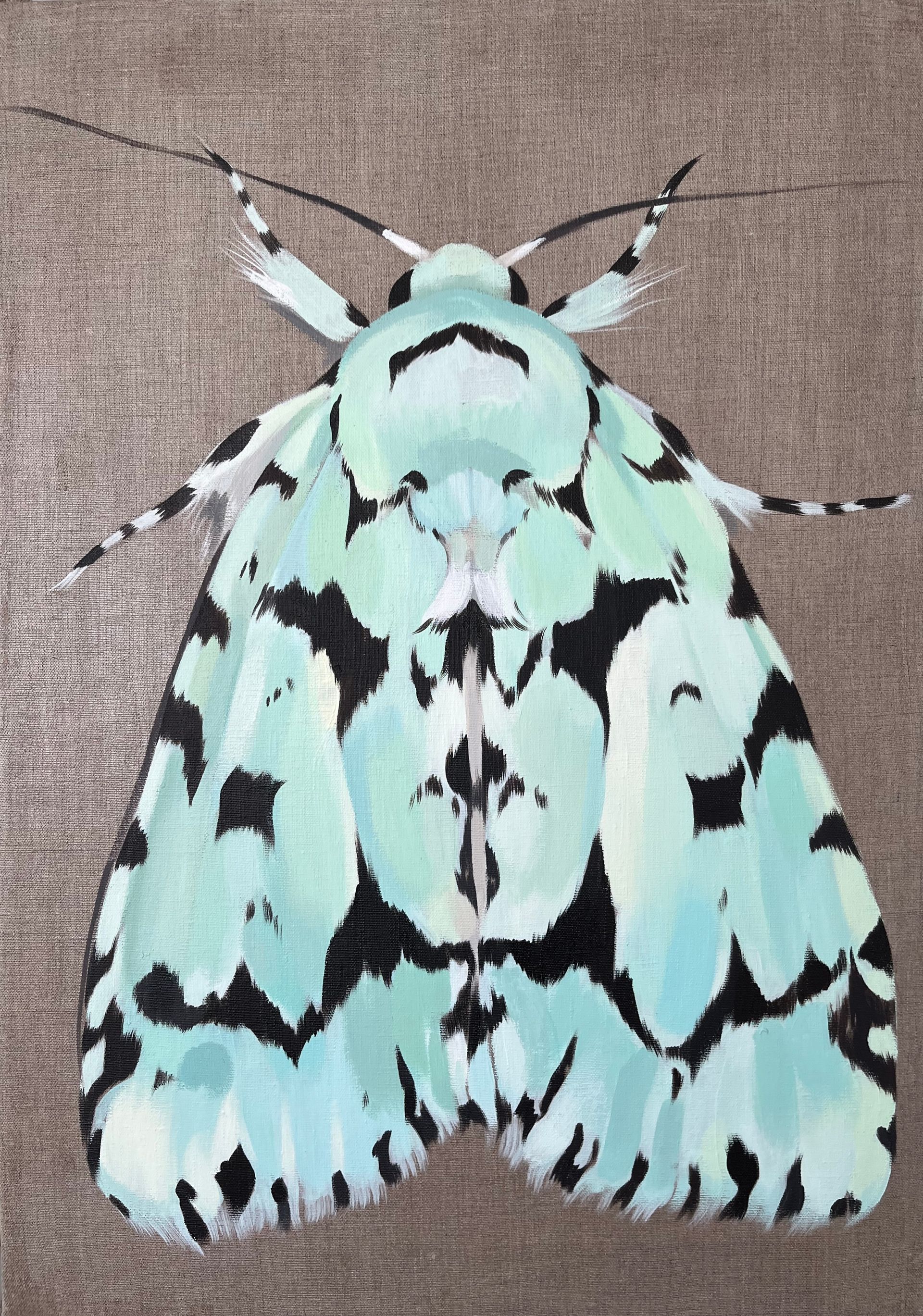 Маша Лам (Картина, живопись - 
                  49.5 x 70 см) Голубой мотылек