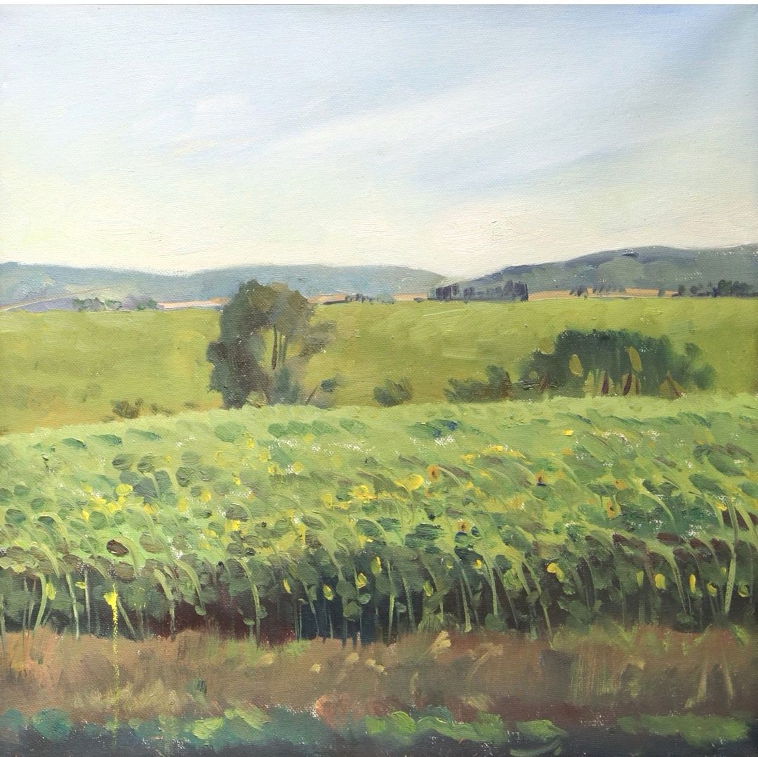 Регина Буглеева (Картина, живопись - 
                  40 x 40 см) Поле подсолнухов