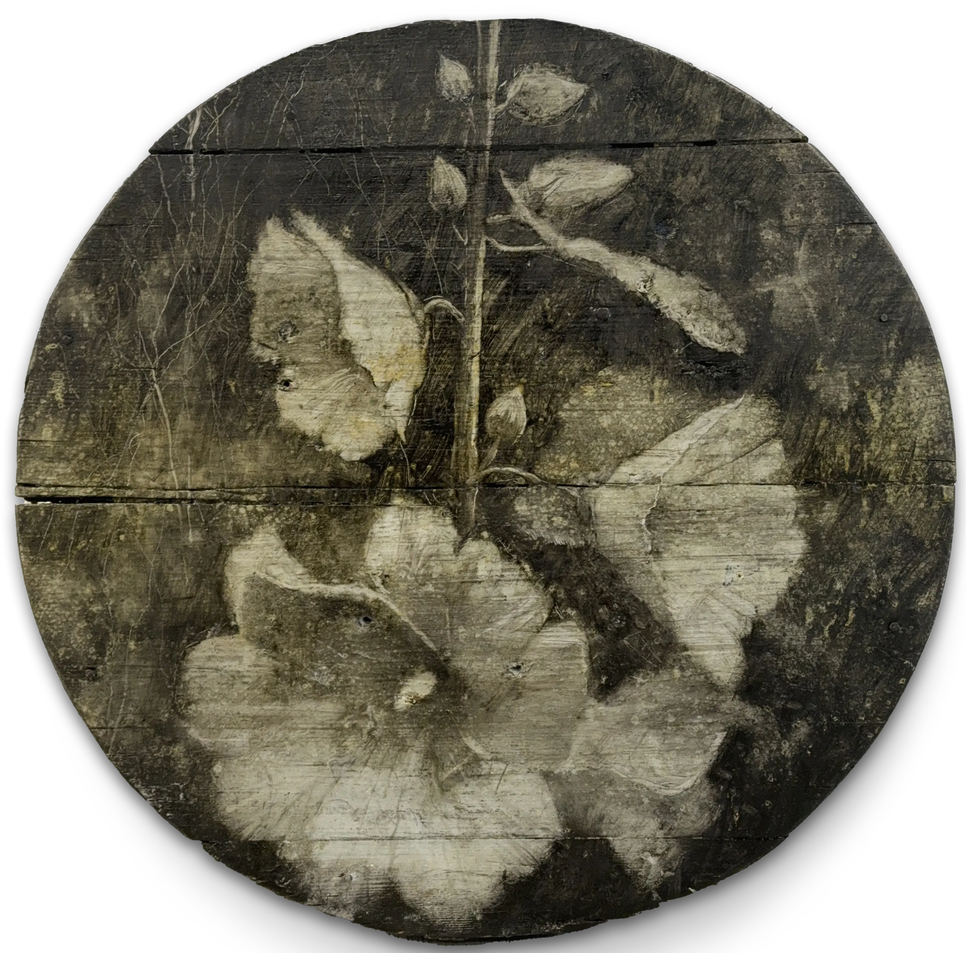 Сергей Трофимов (Картина, живопись - 
                  44 x 44 см) Мальва