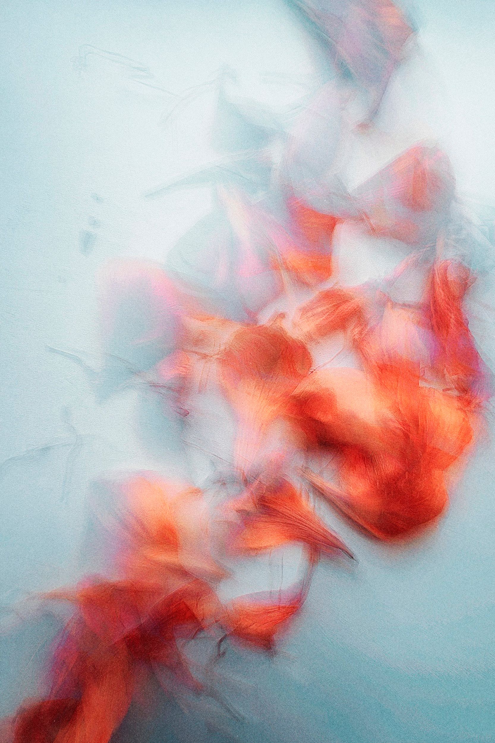 Ольга Ширяева (Фотография - 
                  40 x 60 см) Альстромерия №2