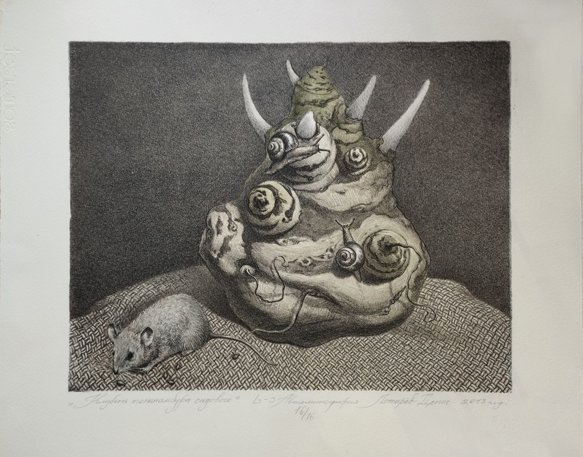 Денис Лотарев (Графика печатная - 
                  42.5 x 36 см) Клубень топинамбура садового