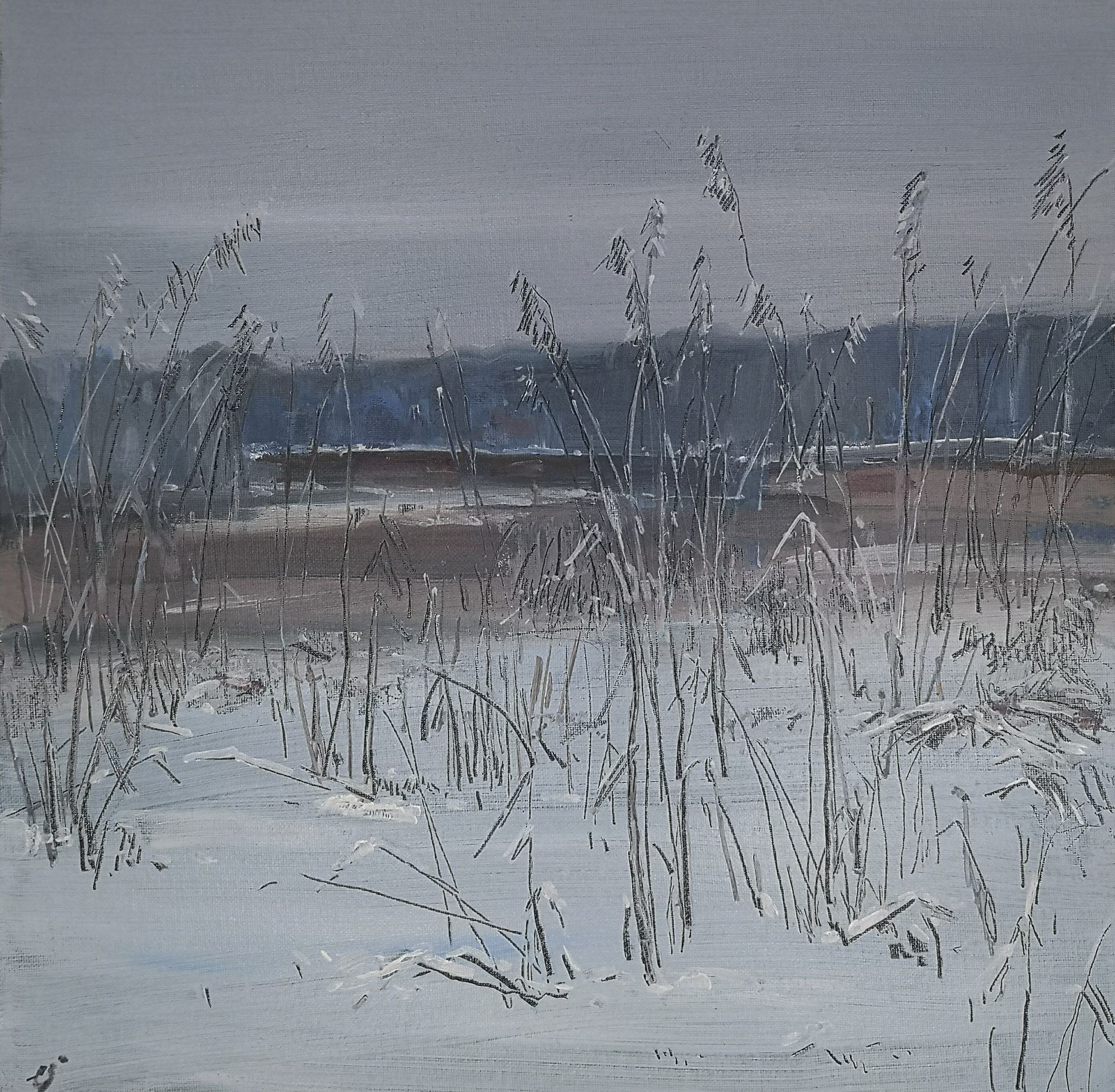 Елена Санина (Авторская графика - 
                  40 x 40 см) Зимние сны