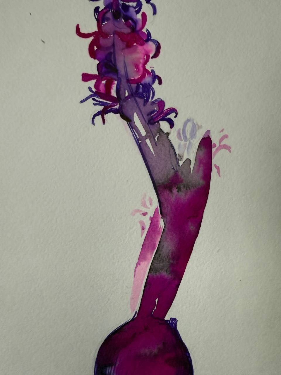 Алена Сокольникова (Авторская графика - 
                  19.5 x 35.5 см) Гиацинт