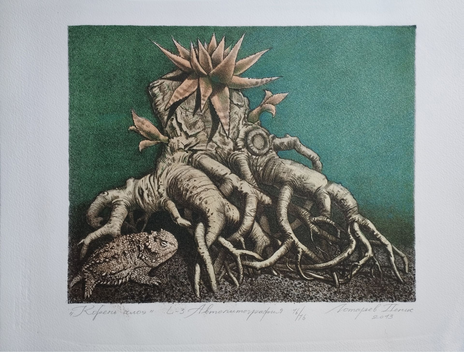 Денис Лотарев (Графика печатная - 
                  44.5 x 34.4 см) Корень алоэ