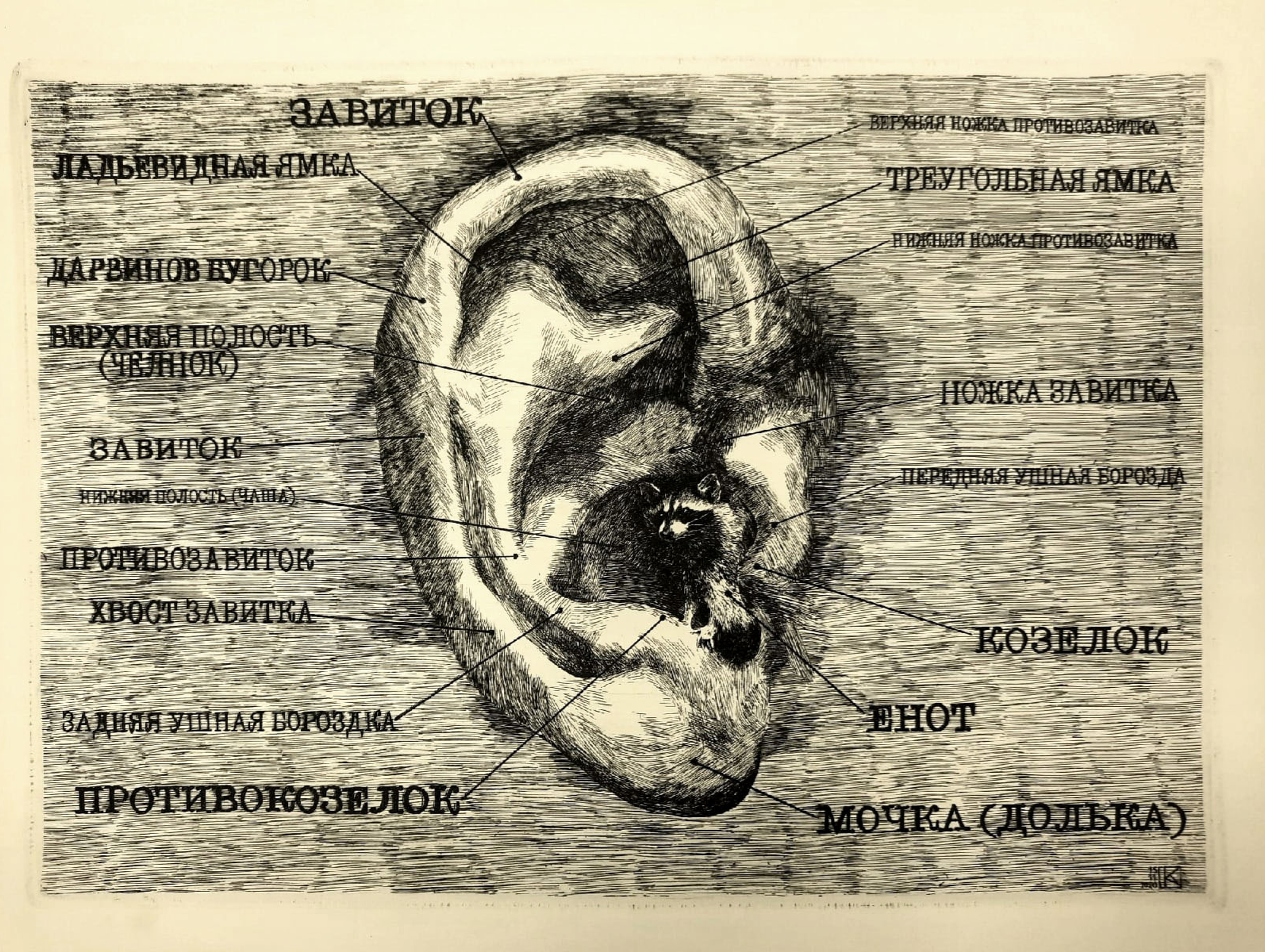 Александр Коряшкин (Графика печатная - 
                  25 x 18 см) Твой личный енот