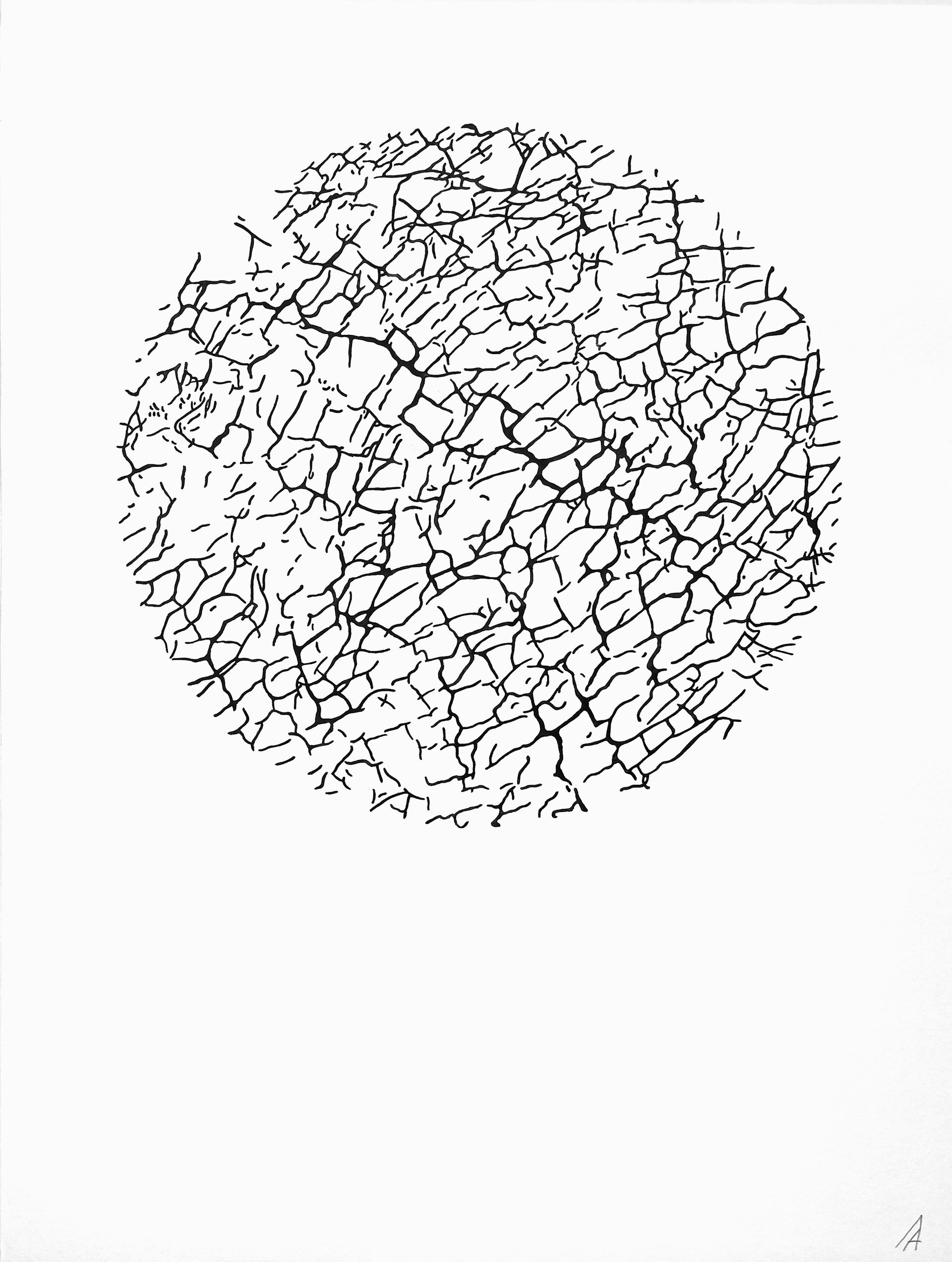 Анастасия Левина (Авторская графика - 
                  45 x 61 см) Без названия