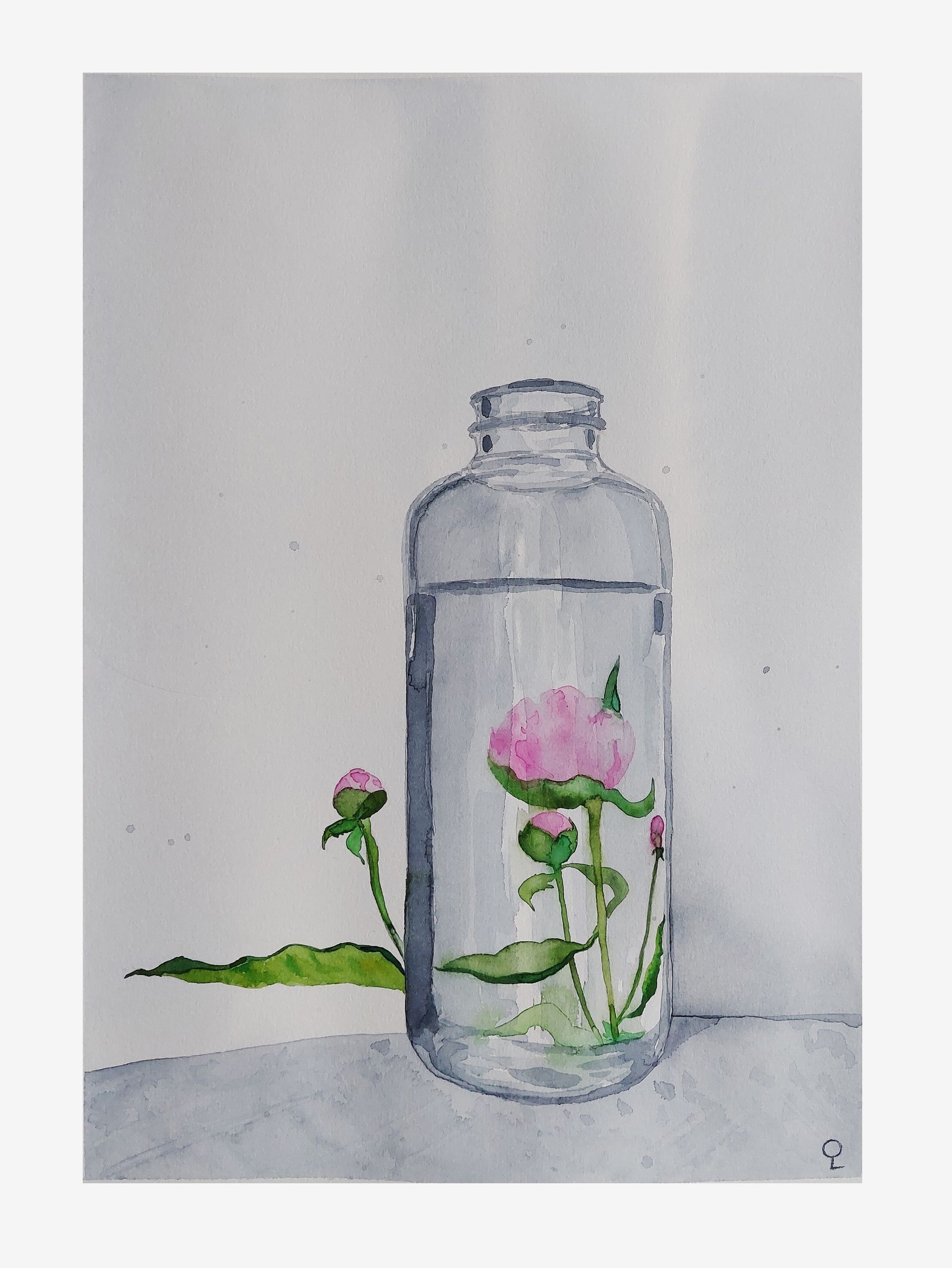 Оливия Лем (Авторская графика - 
                  30 x 40 см) Пион в бутылке