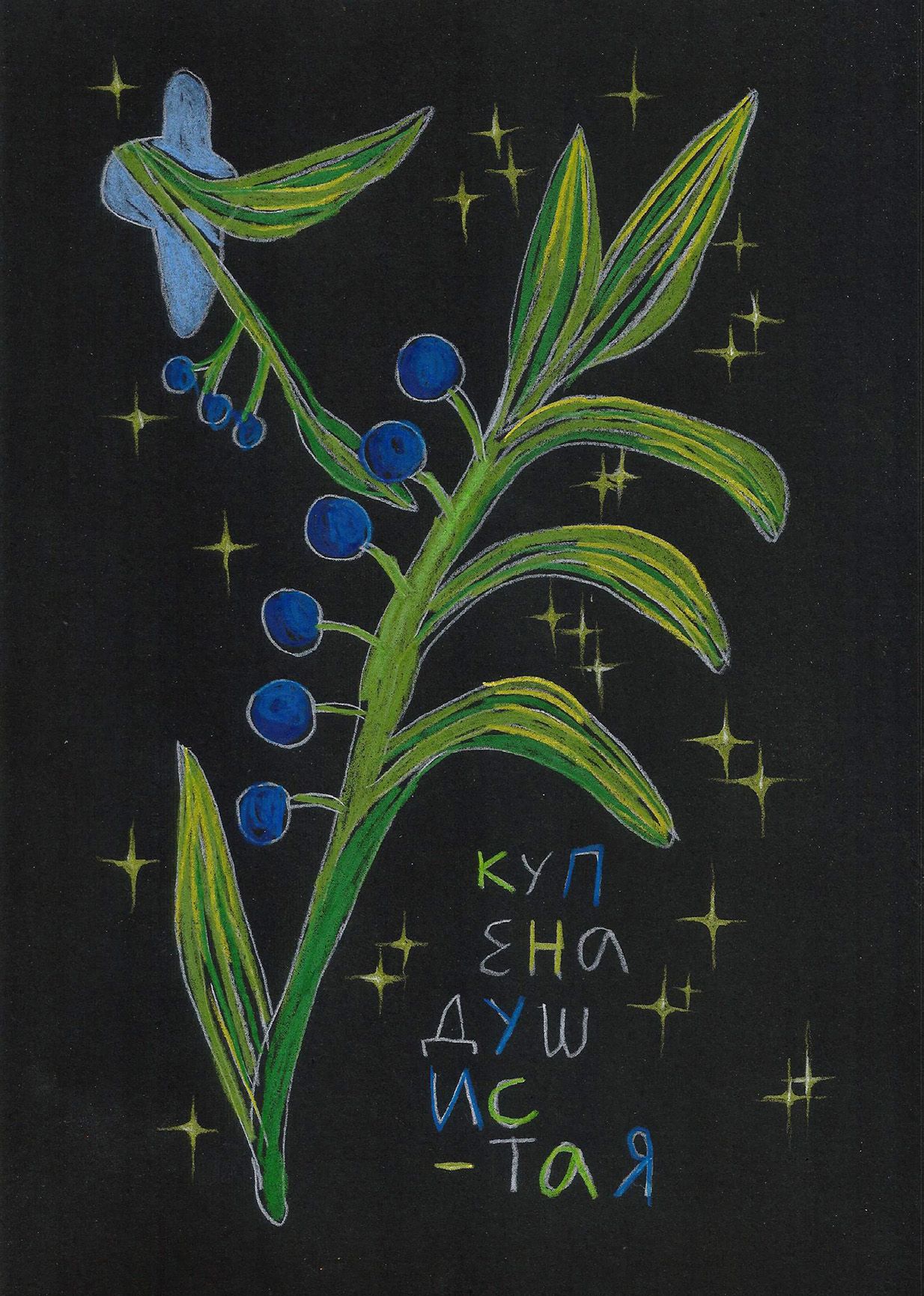 Катя Попченко (Авторская графика - 
                  21 x 29 см) КУПЕНА ДУШИСТАЯ