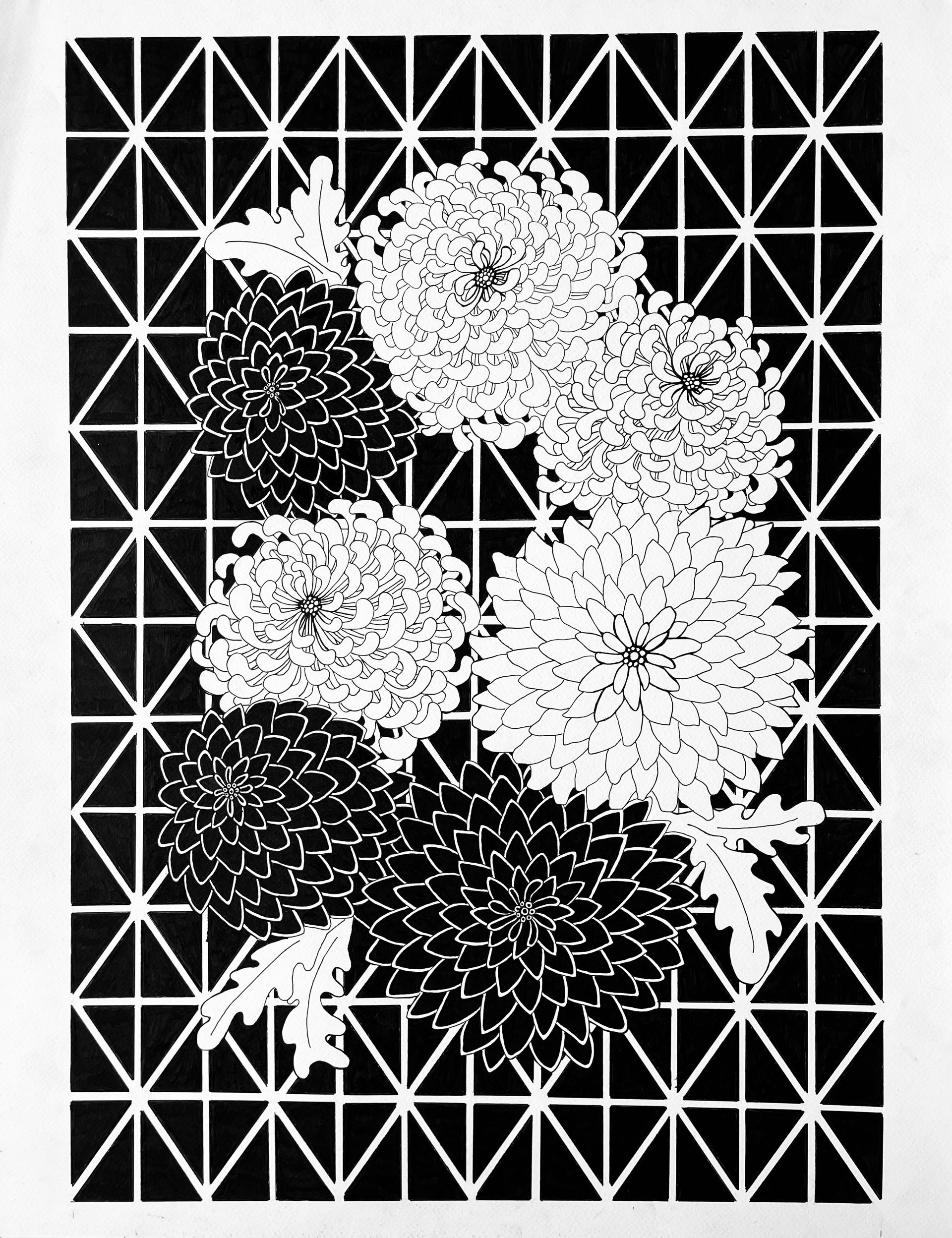Марина Астахова (Авторская графика - 
                  50 x 65 см) Цветы монохром II