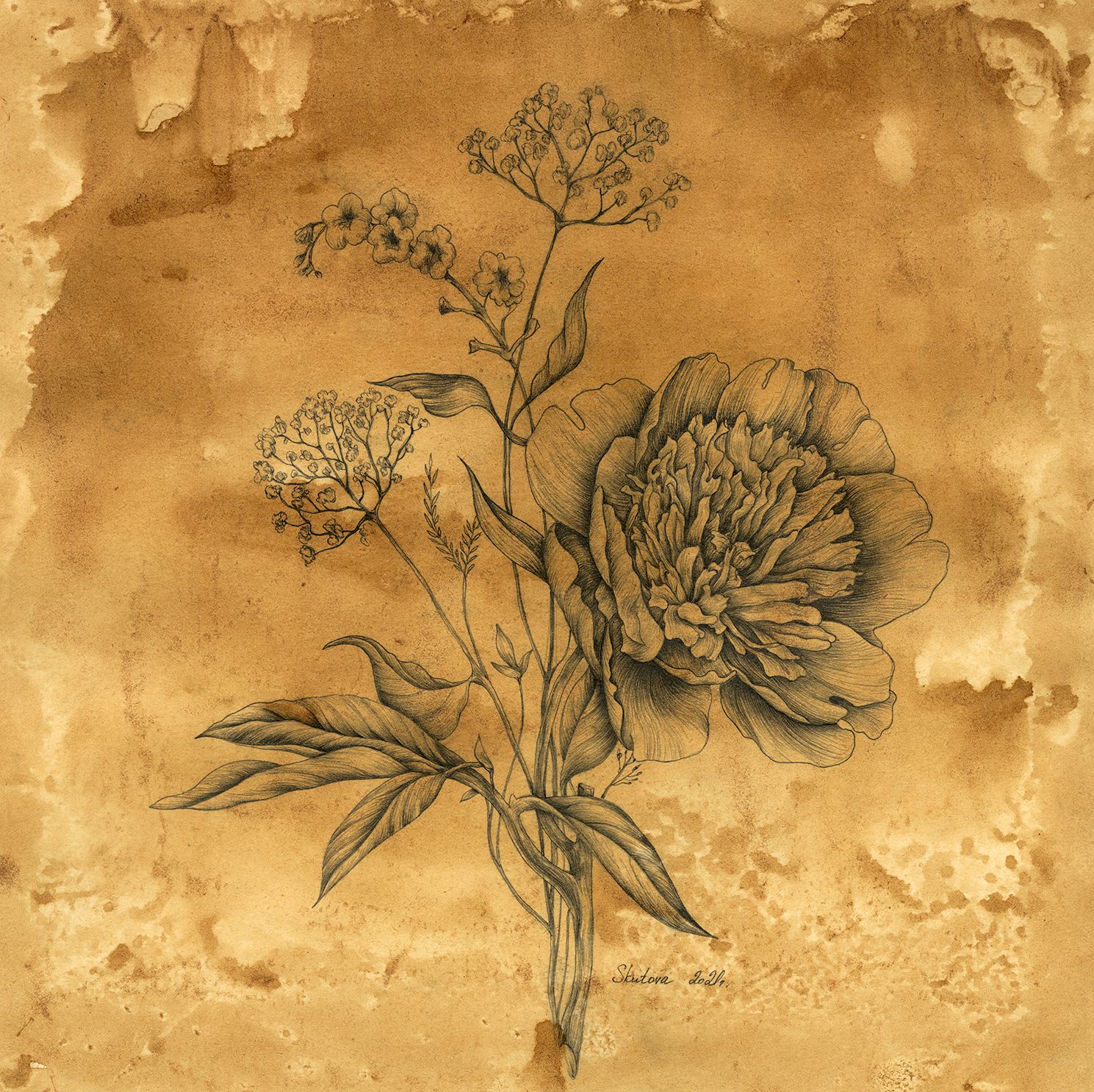 ELENA SKUTOVA (Авторская графика - 
                  57 x 57 см) Flowers #1