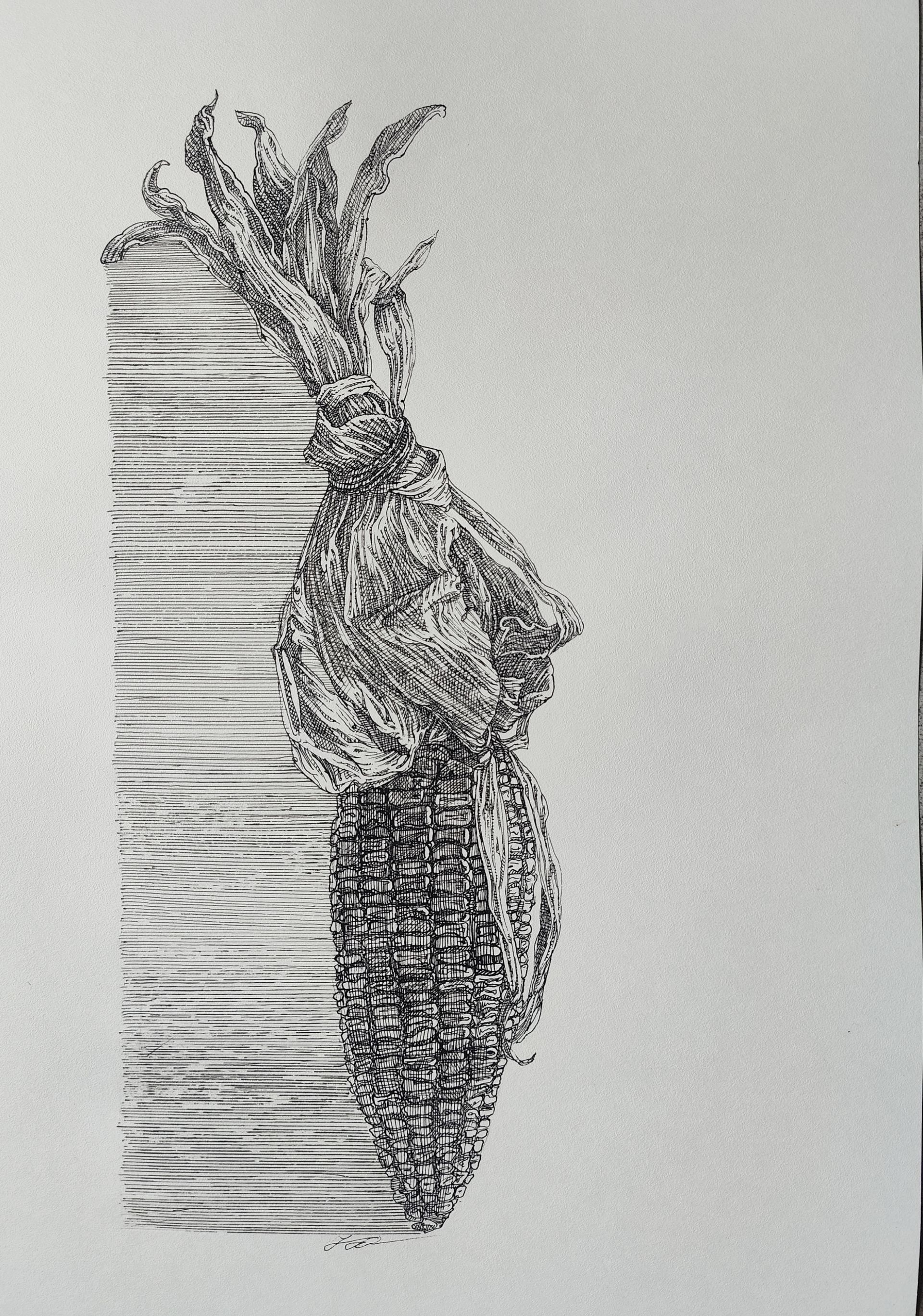 Наталия Рокотова (Авторская графика - 
                  30 x 40 см) Кукуруза