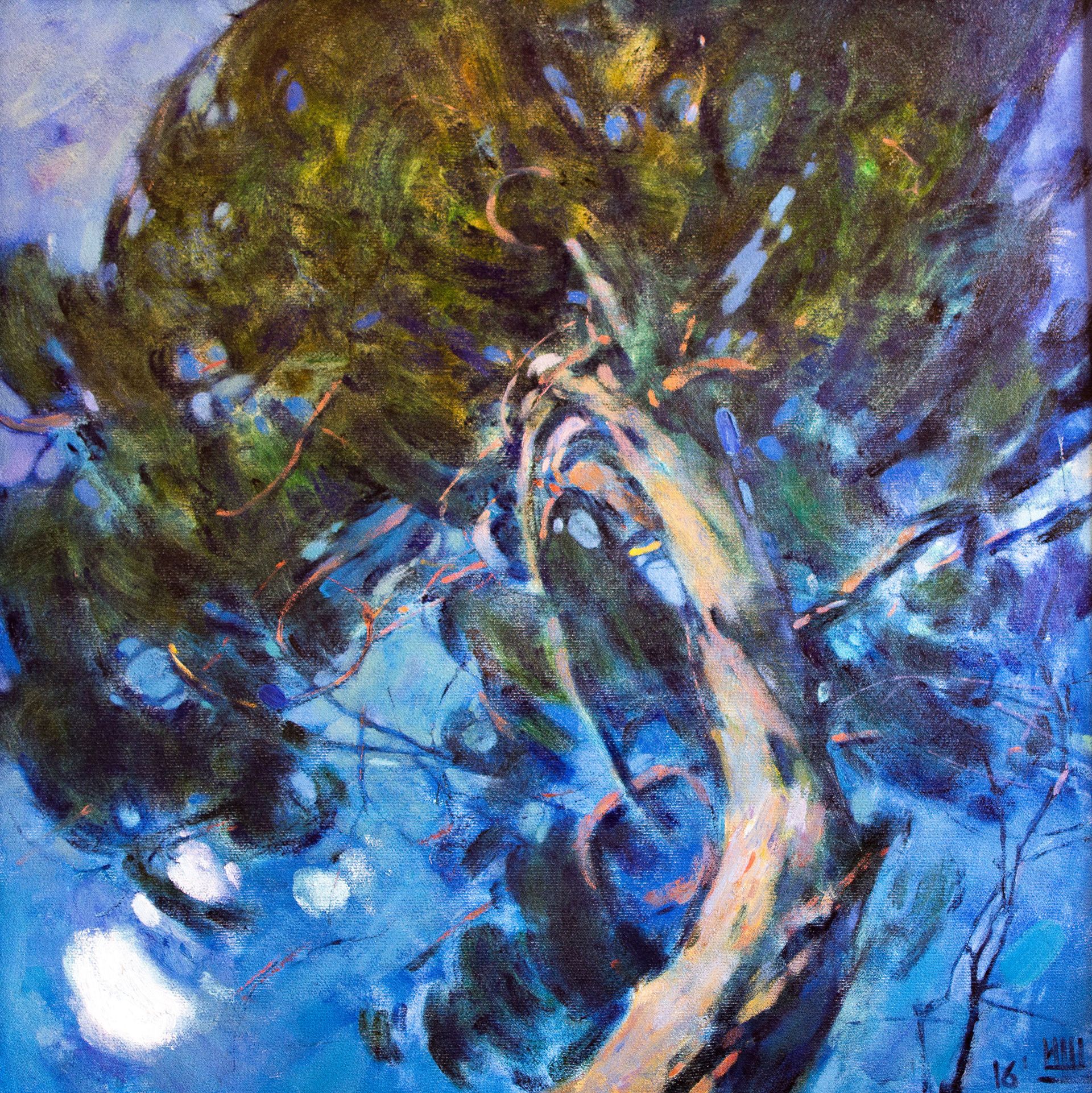 Игорь Крапарь-Щербаков (Картина, живопись - 
                  105 x 105 см) Сосна