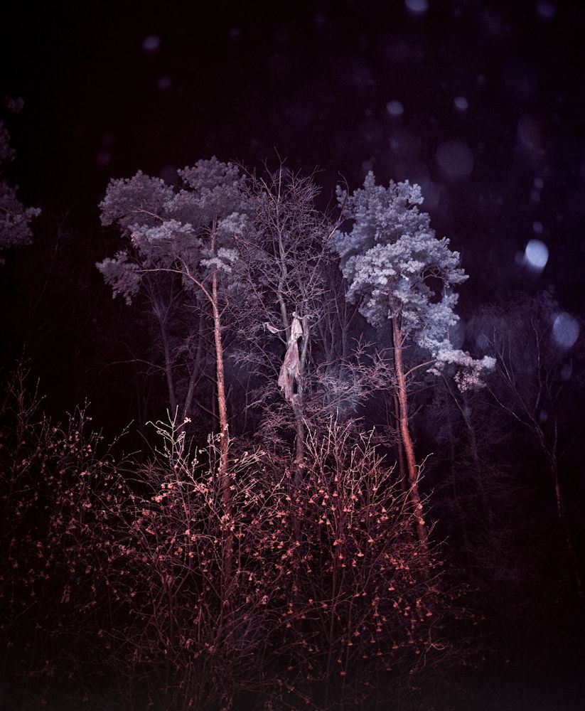 Илья Батраков (Фотография - 
                  40 x 40 см) Untitled I