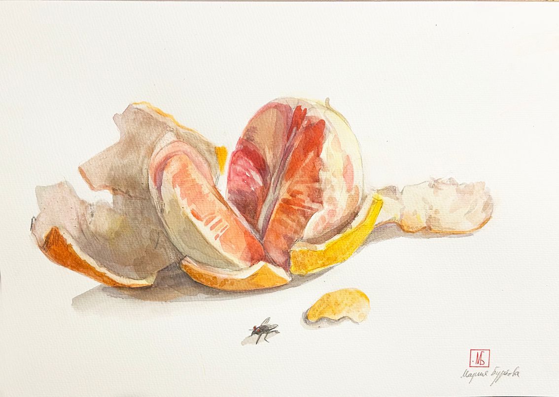 Мария Буртова (Авторская графика - 
                  40 x 30 см) Грейпфрут и муха