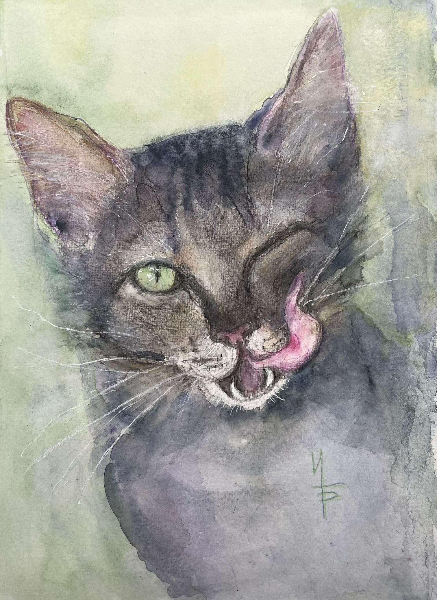 Ирина Булдина (Авторская графика - 
                  21 x 29 см) Кот