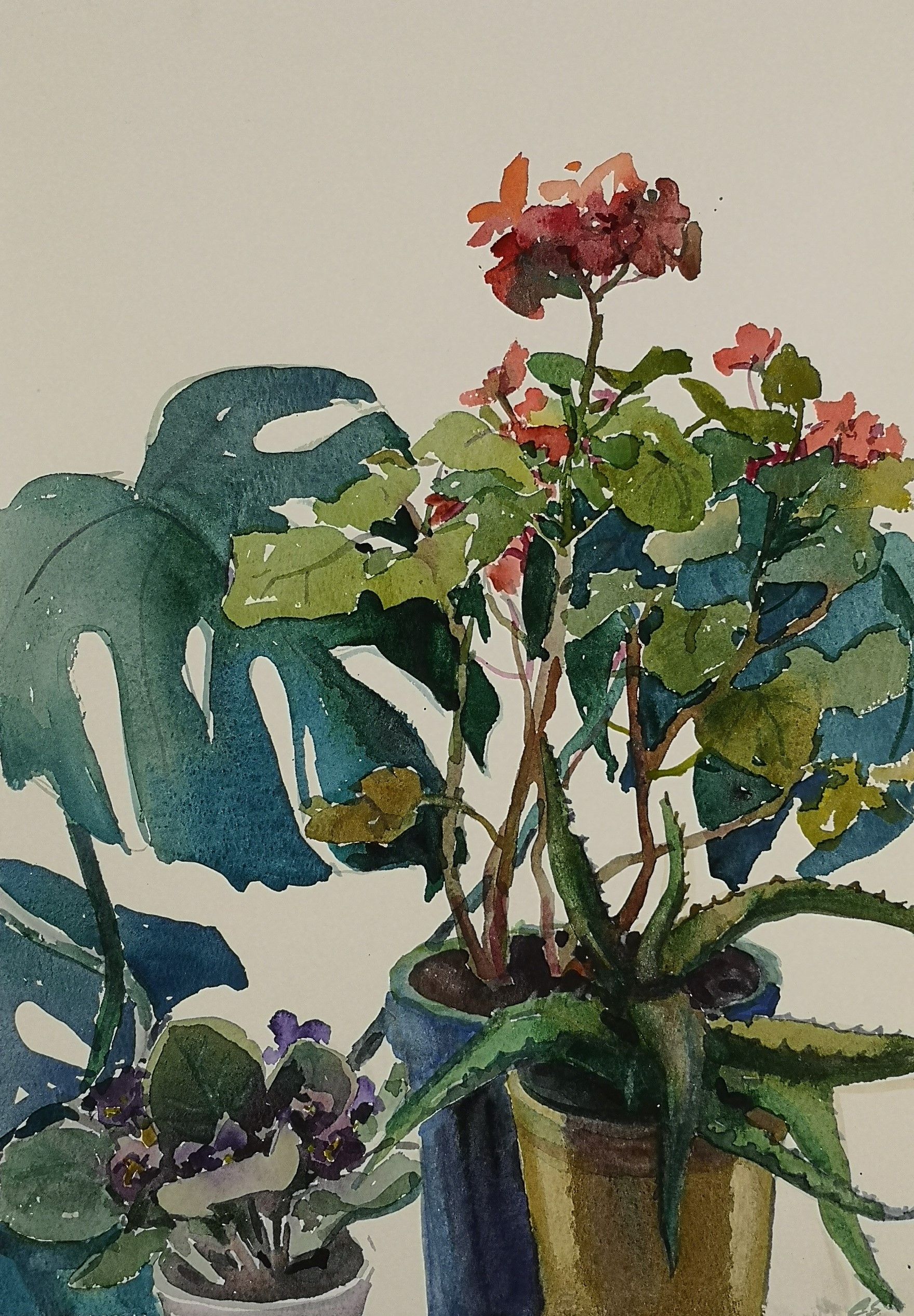 Елена Санина (Авторская графика - 
                  27 x 39 см) На окне #2
