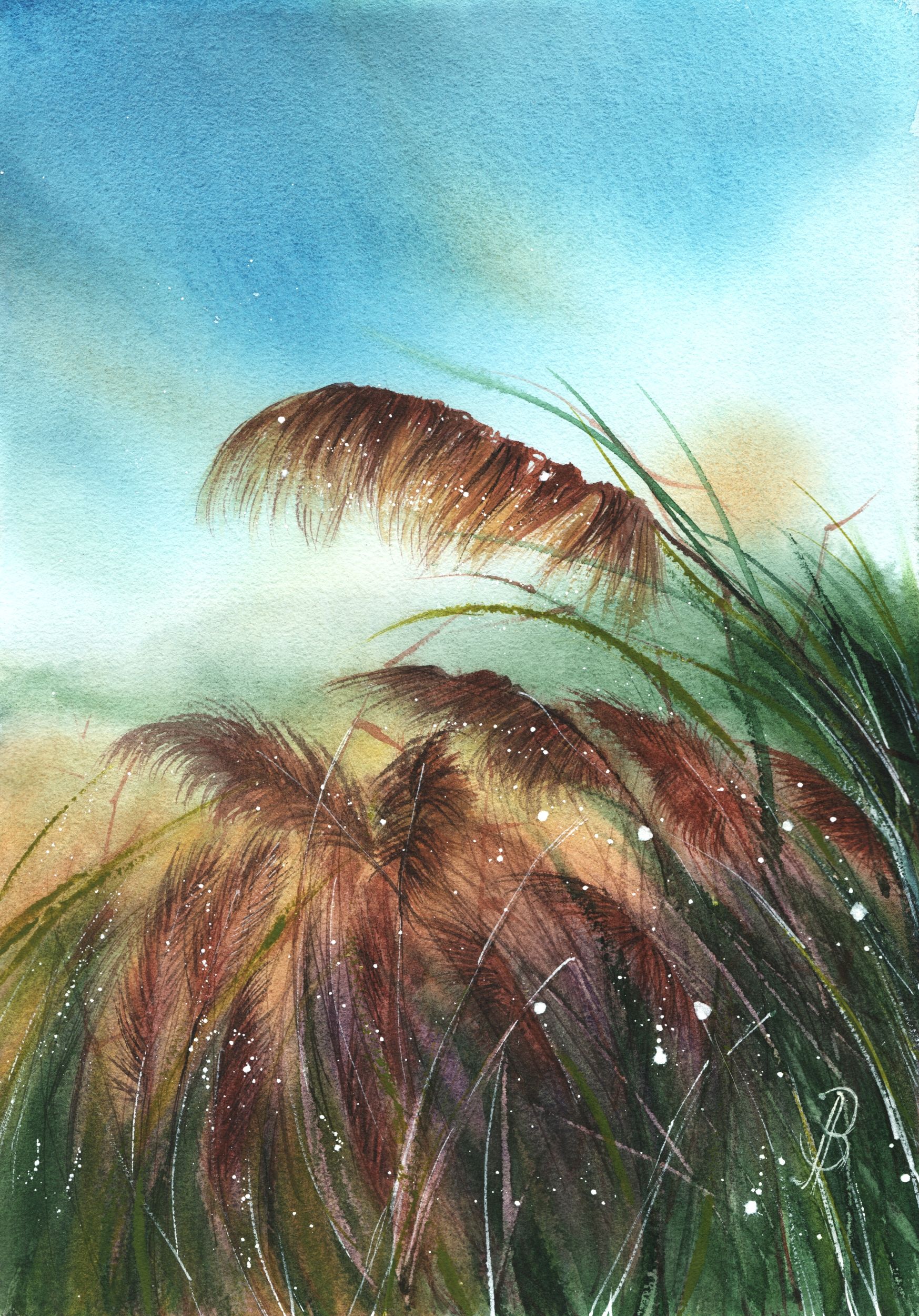 Алла Валежина (Авторская графика - 
                  30 x 42 см) Пампасная трава
