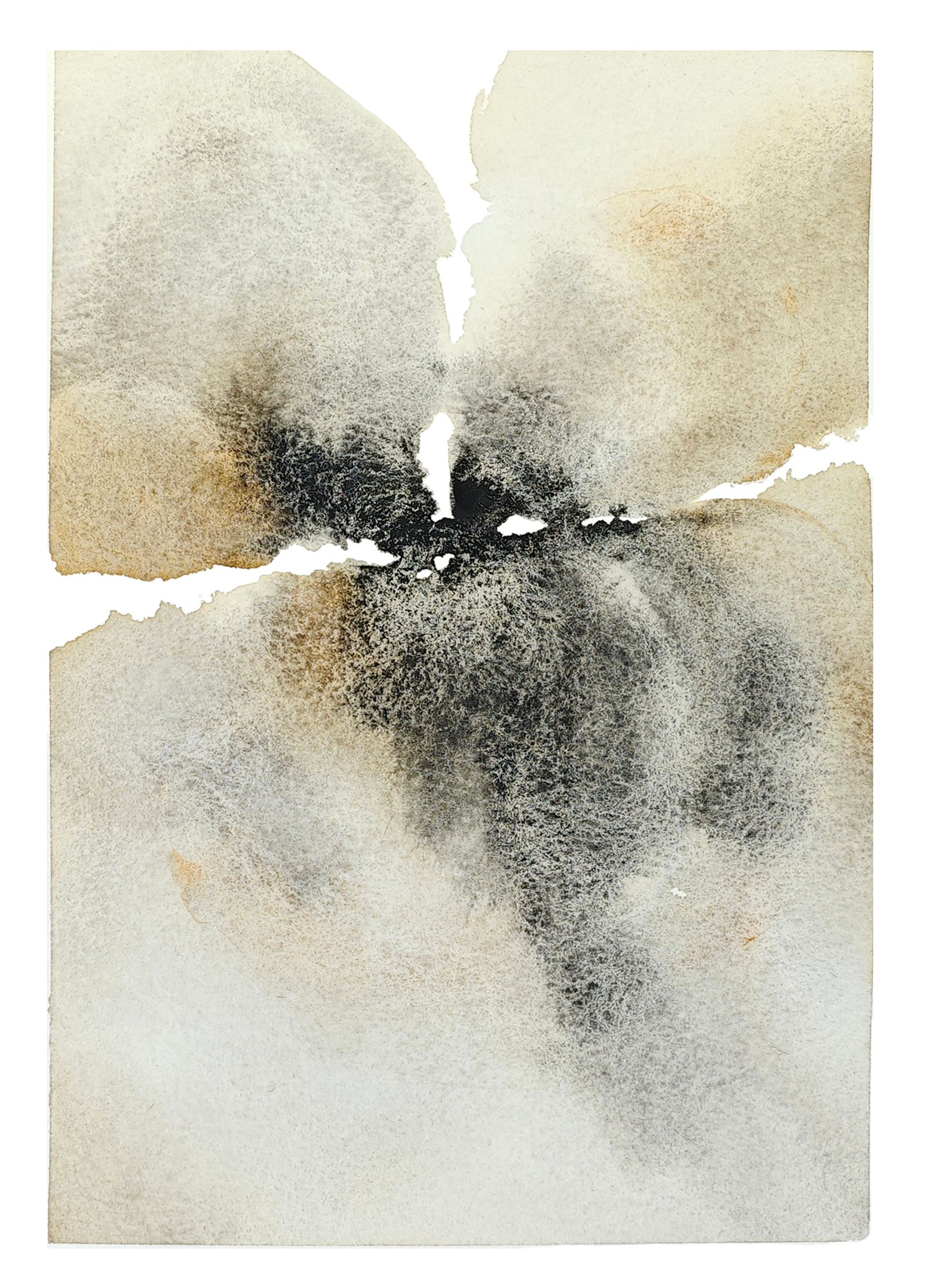 Тани Соул (Авторская графика - 
                  15 x 21 см) Песчаный взгляд