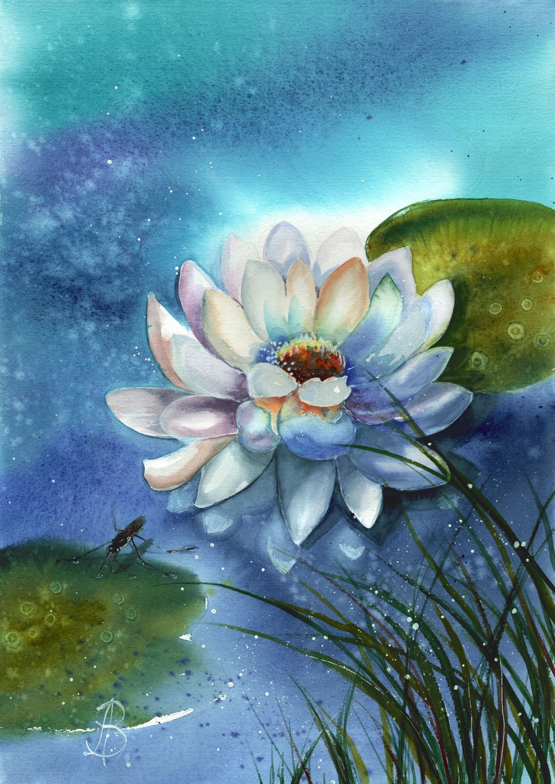 Алла Валежина (Авторская графика - 
                  30 x 42 см) Кувшинка