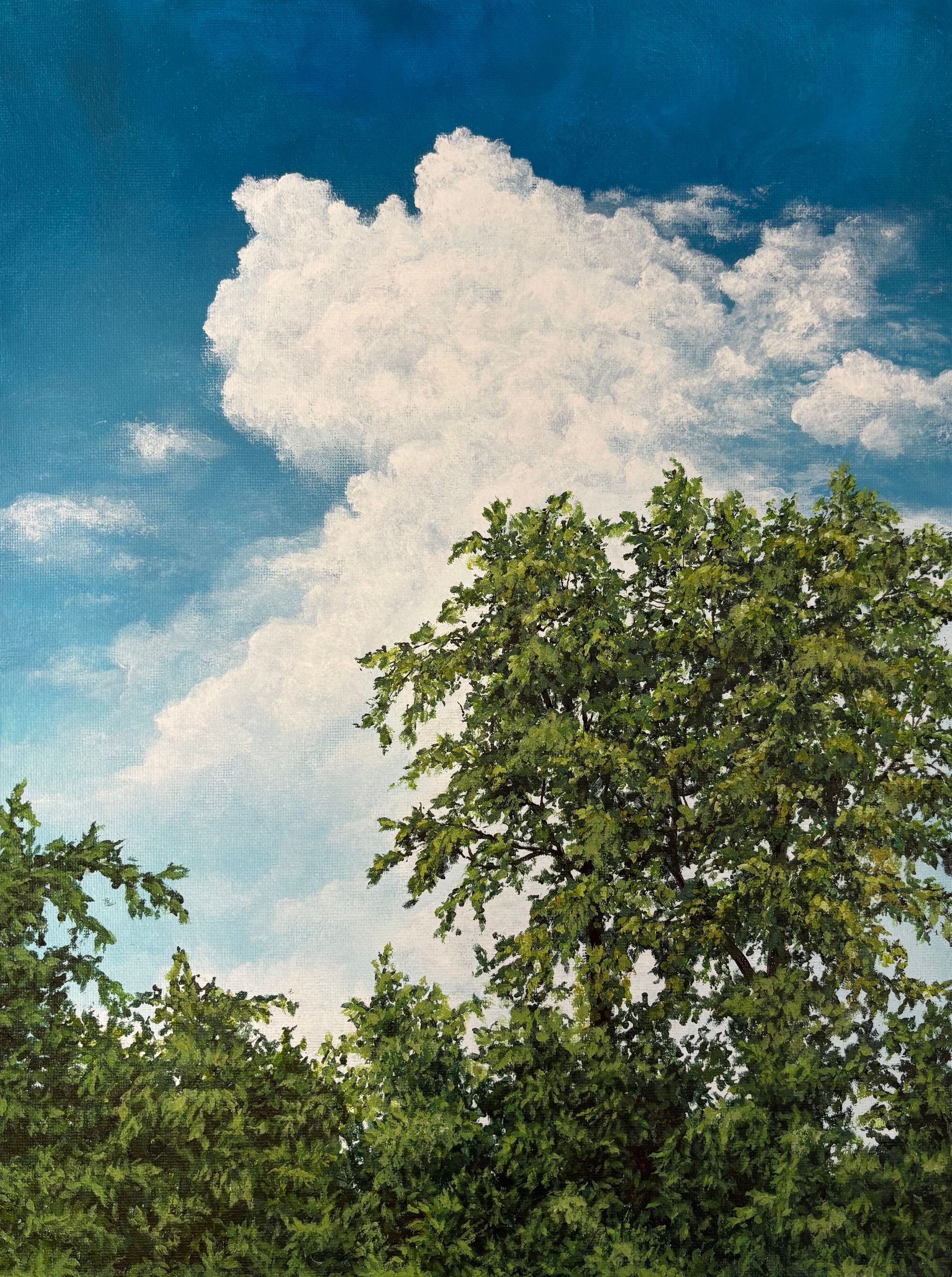 Татьяна Бердникова (Авторская графика - 
                  30 x 40 см) Свежесть