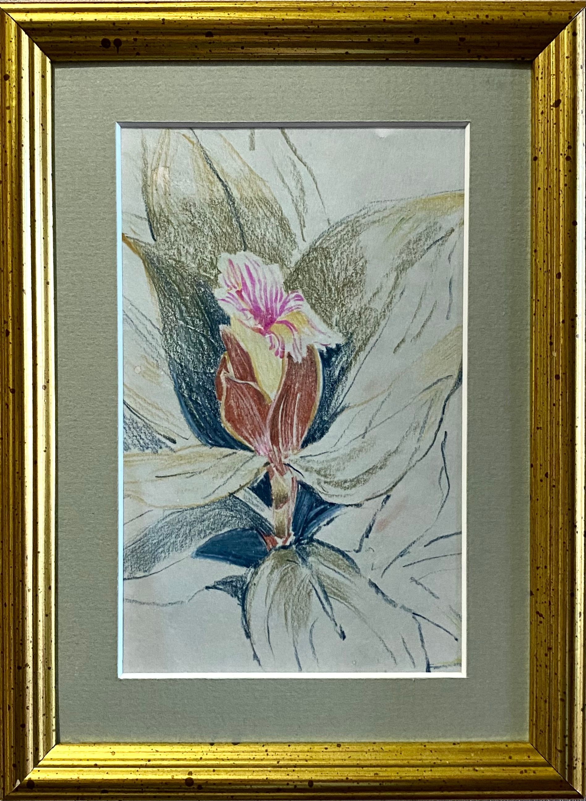 Алина Буглеева (Авторская графика - 
                  17 x 22 см) Костус