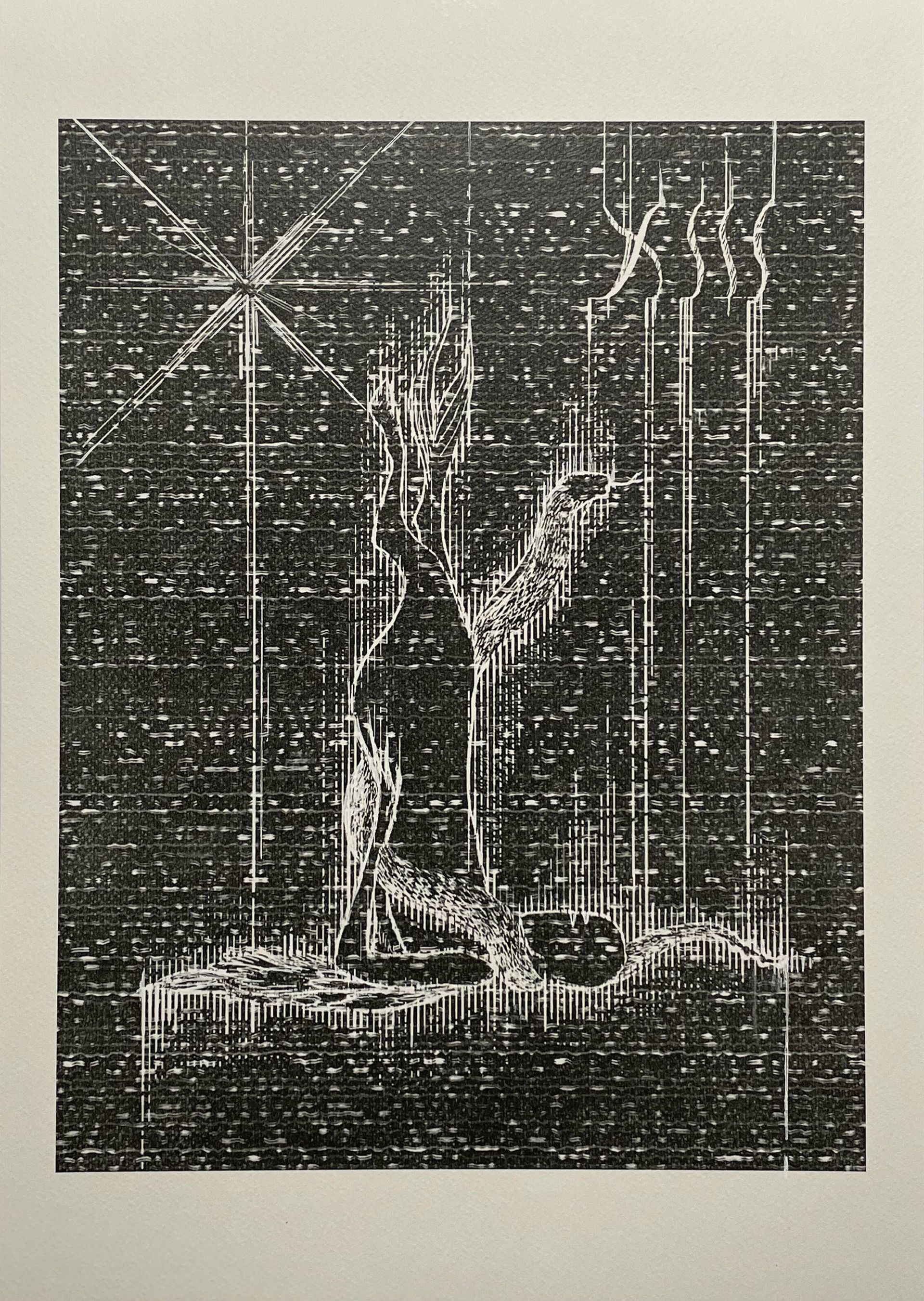Саша Госмант (Авторская графика - 
                  30 x 42 см) 13 знак зодиака Змееносец